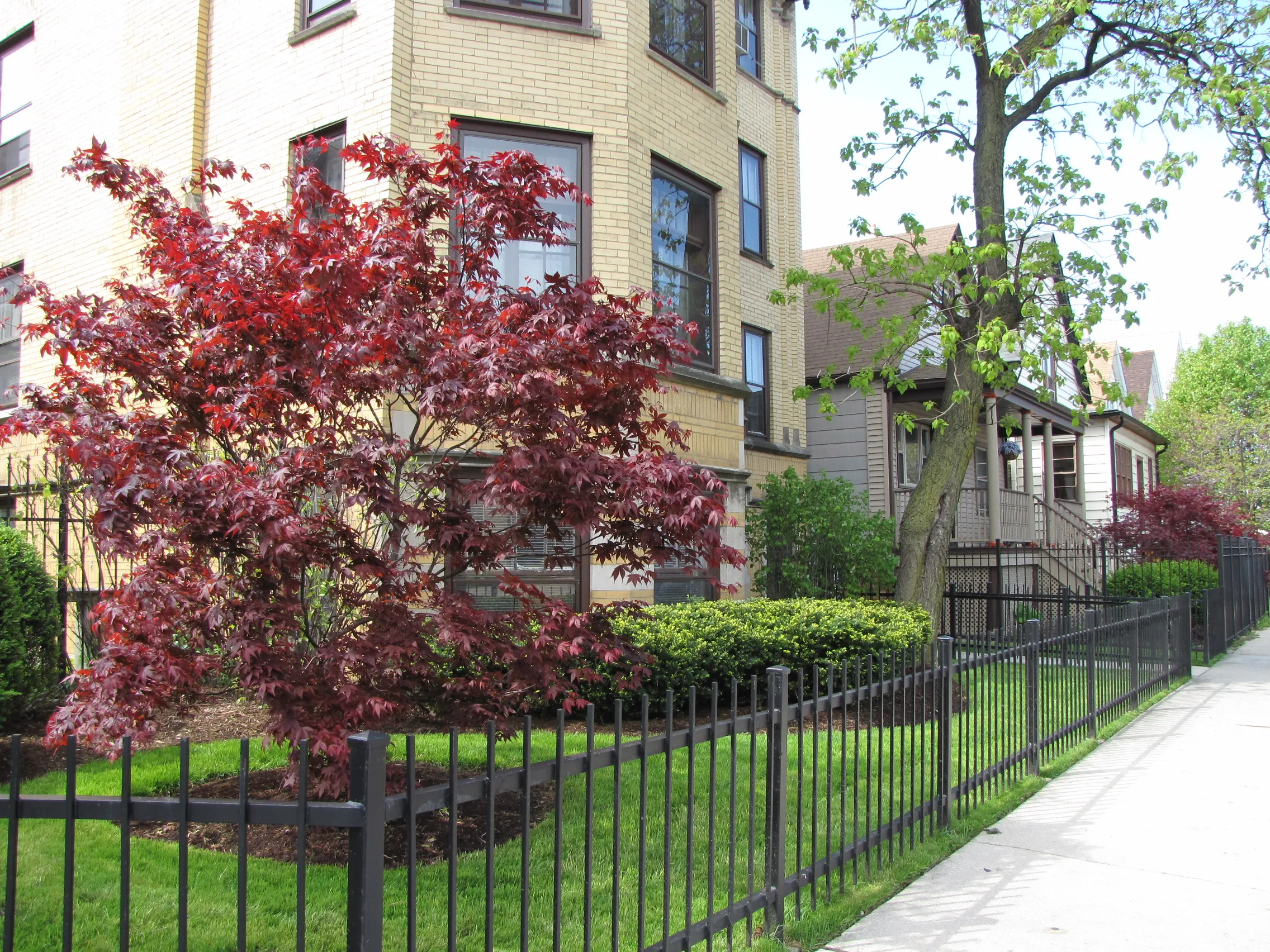 3417 W Drummond Pl   60647 60647-unit#B-Chicago-IL