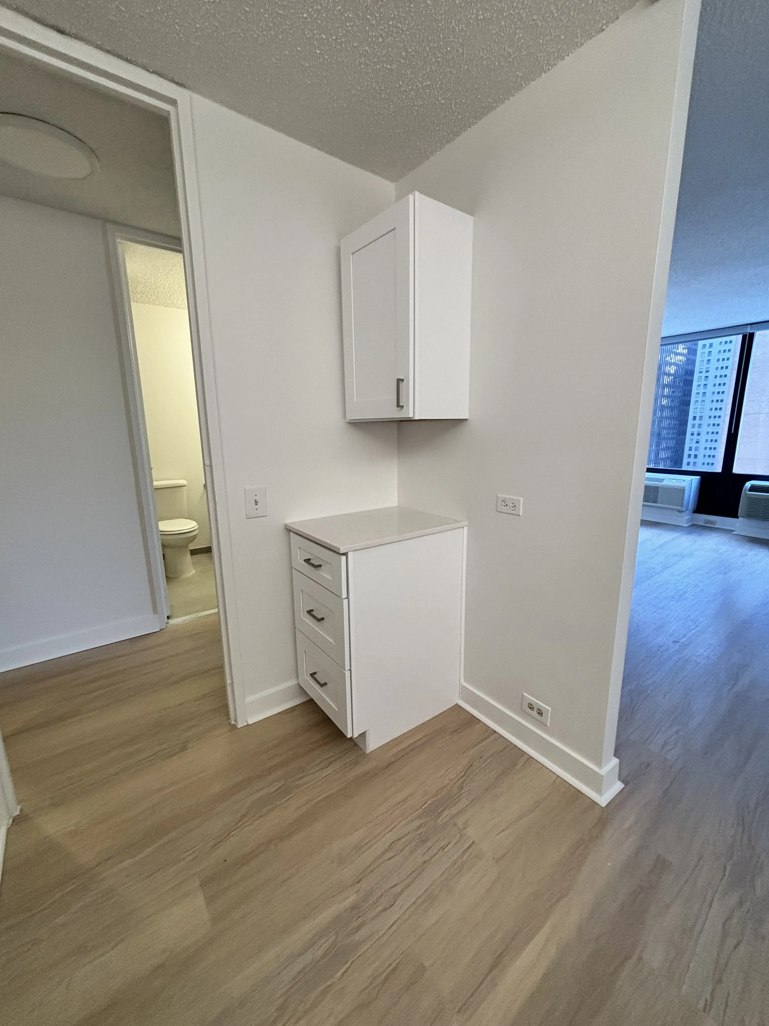 233 E Wacker Dr 60601 60601-unit#1706-Chicago-IL
