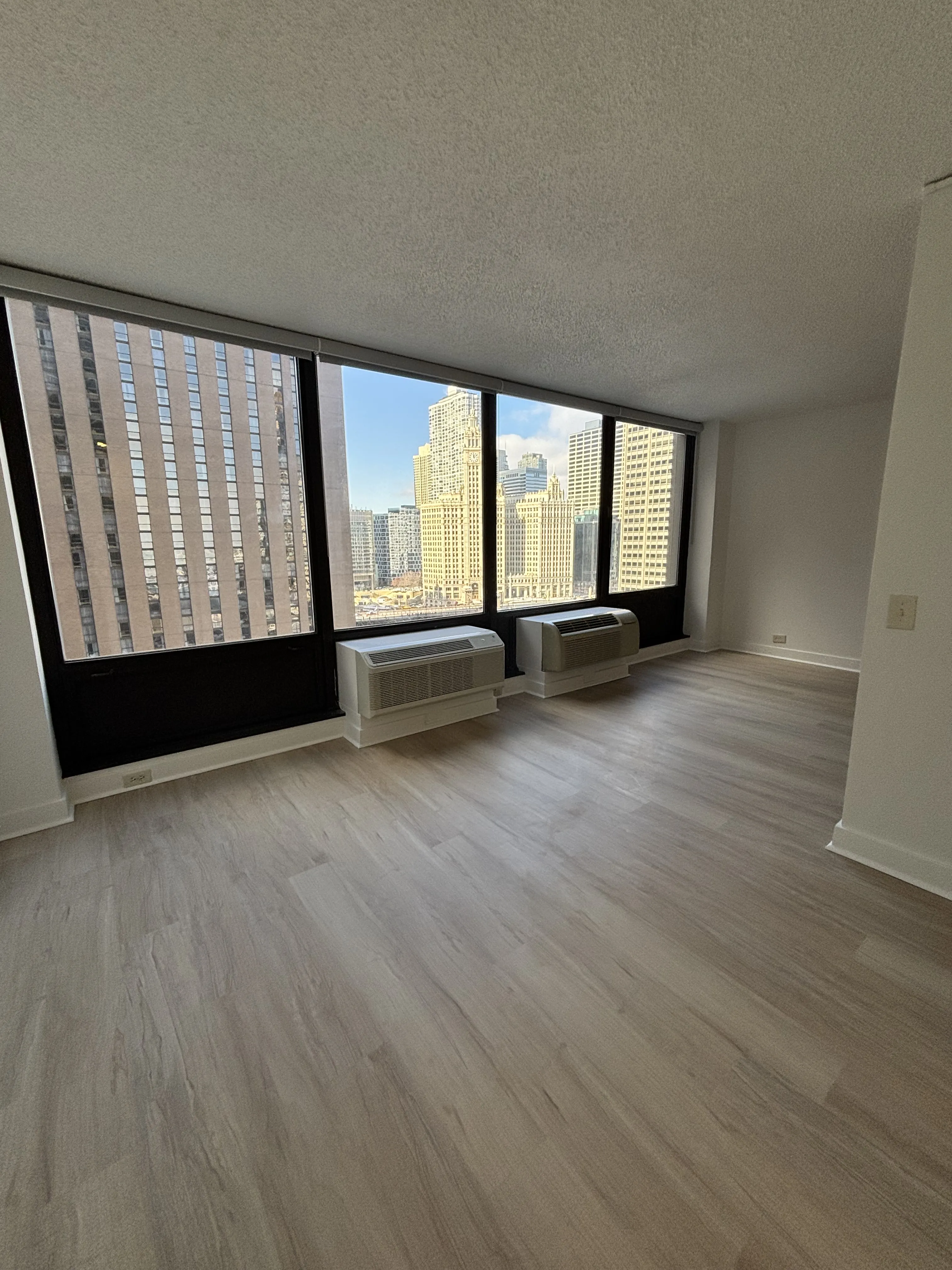 233 E Wacker Dr 60601 60601-unit#1706-Chicago-IL