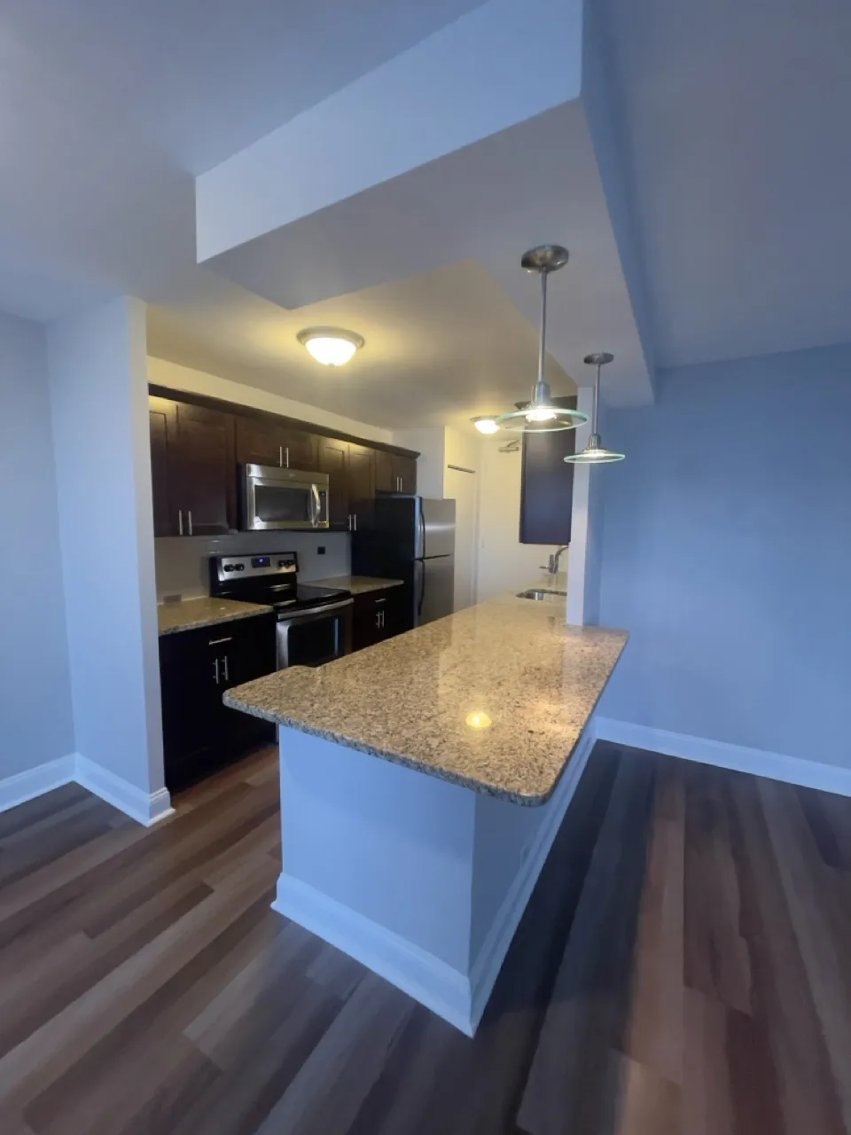 1130 N Dearborn St   60610 60610-unit#3004-Chicago-IL