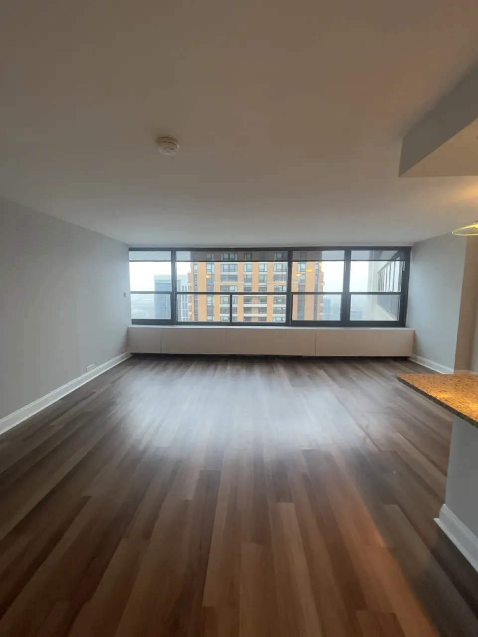 1130 N Dearborn St 60610 60610-unit#3004-Chicago-IL