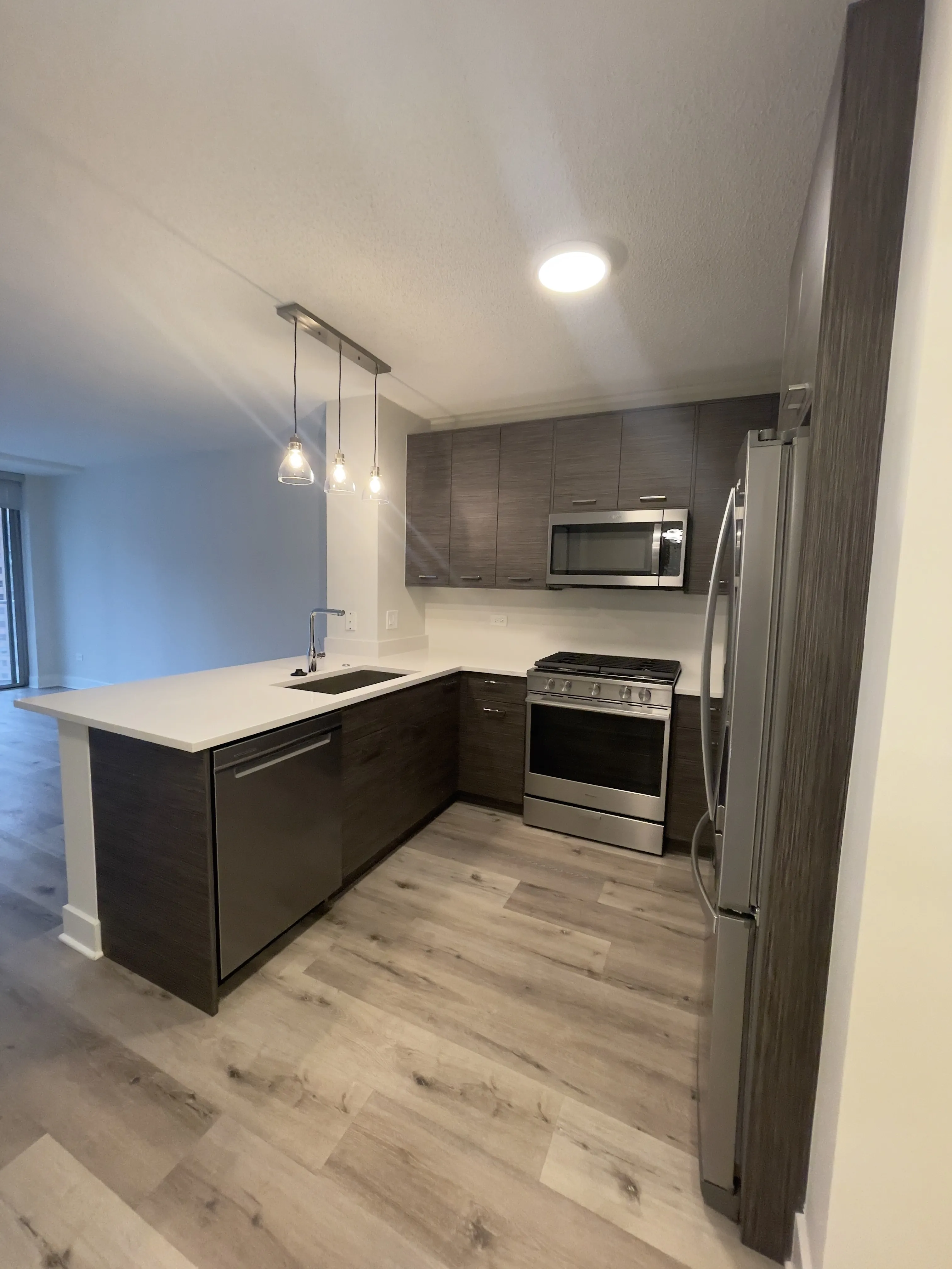 300 S Canal St   60606 60606-unit#1412-Chicago-IL