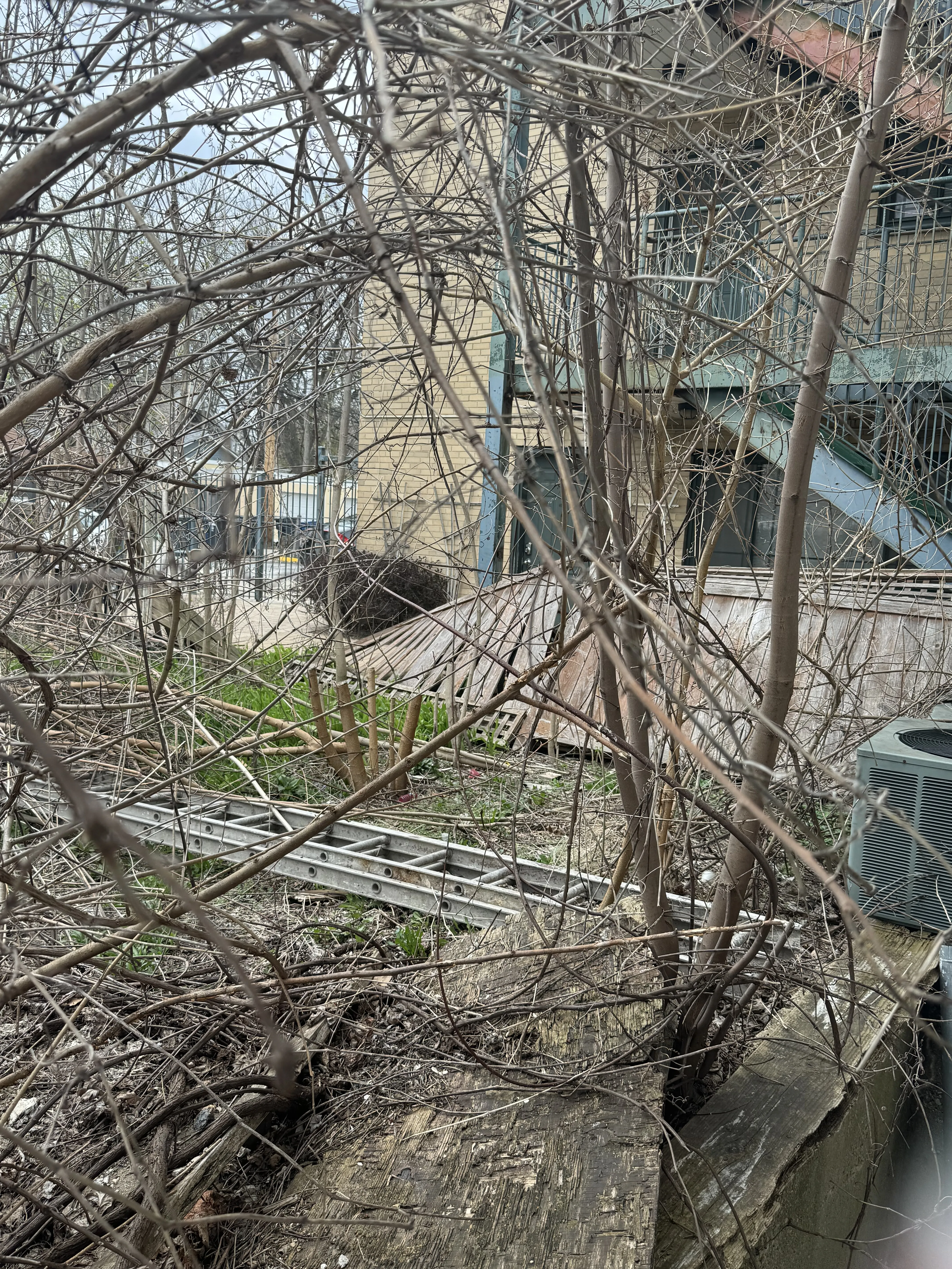 5746 N Sheridan Rd 60660 60660-Chicago-IL
