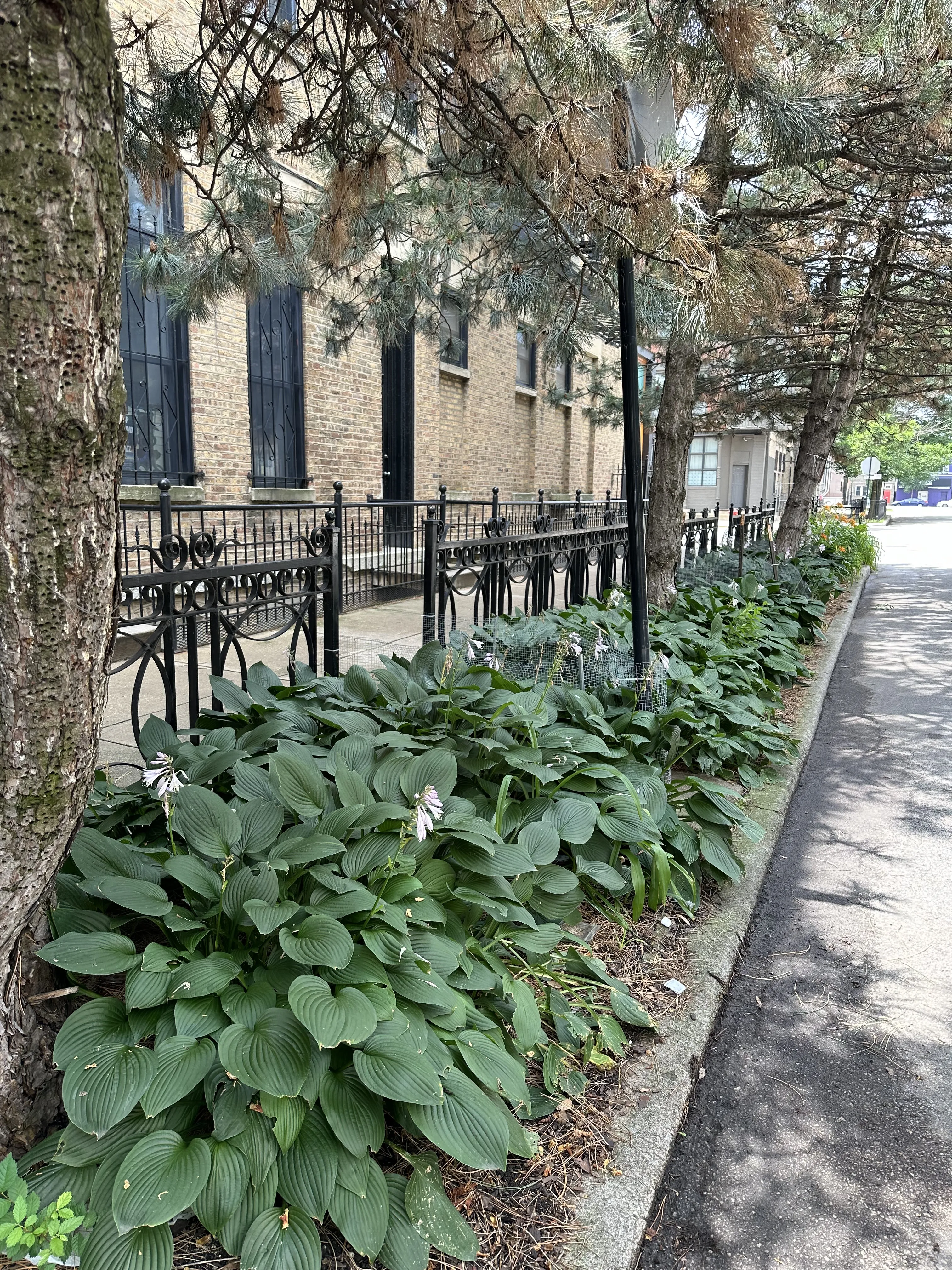 1459 N Bosworth Ave   60642 60642-unit#2R-Chicago-IL