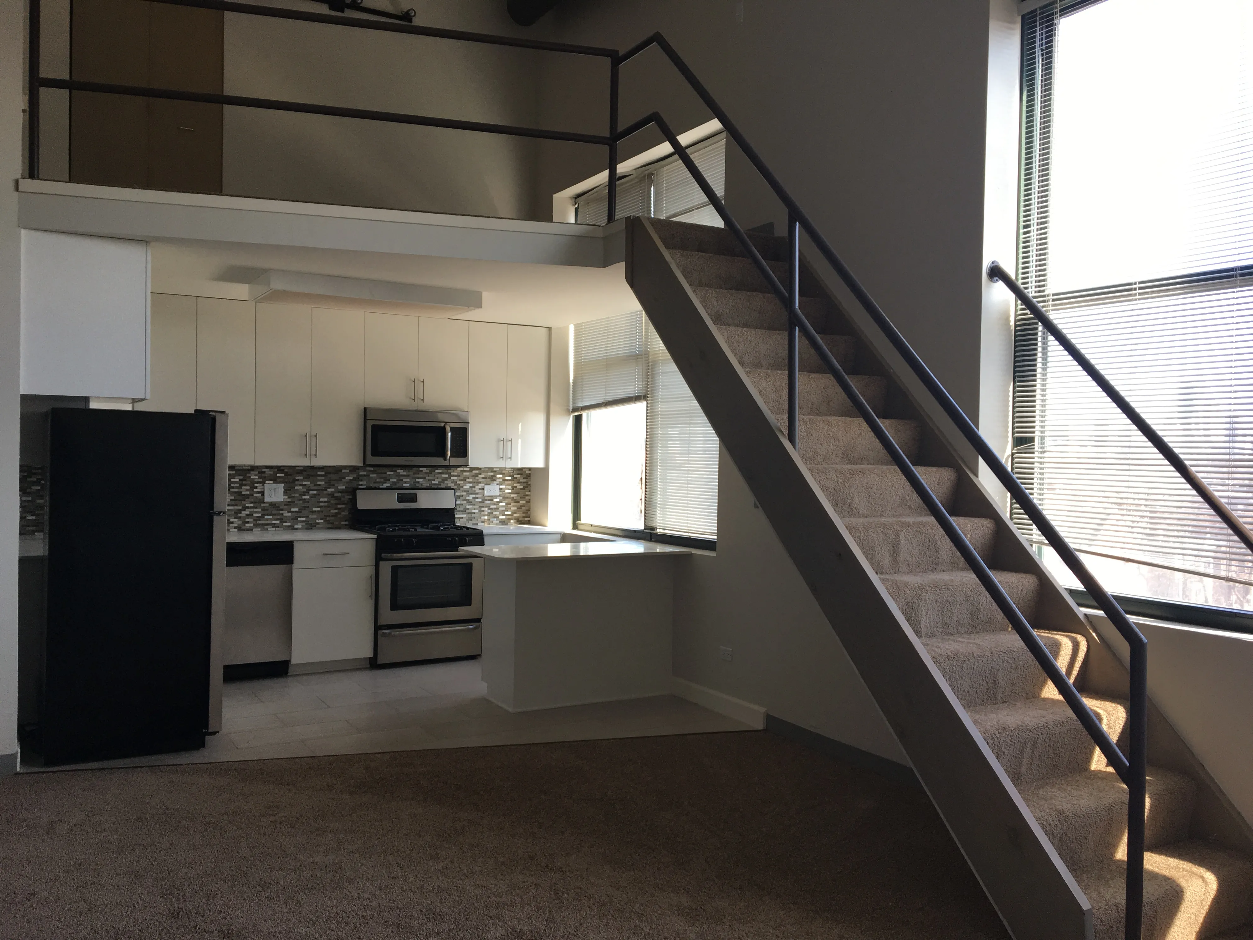 999 W Wolfram St   60657 60657-Sheffield Lofts-unit#501-Chicago-IL