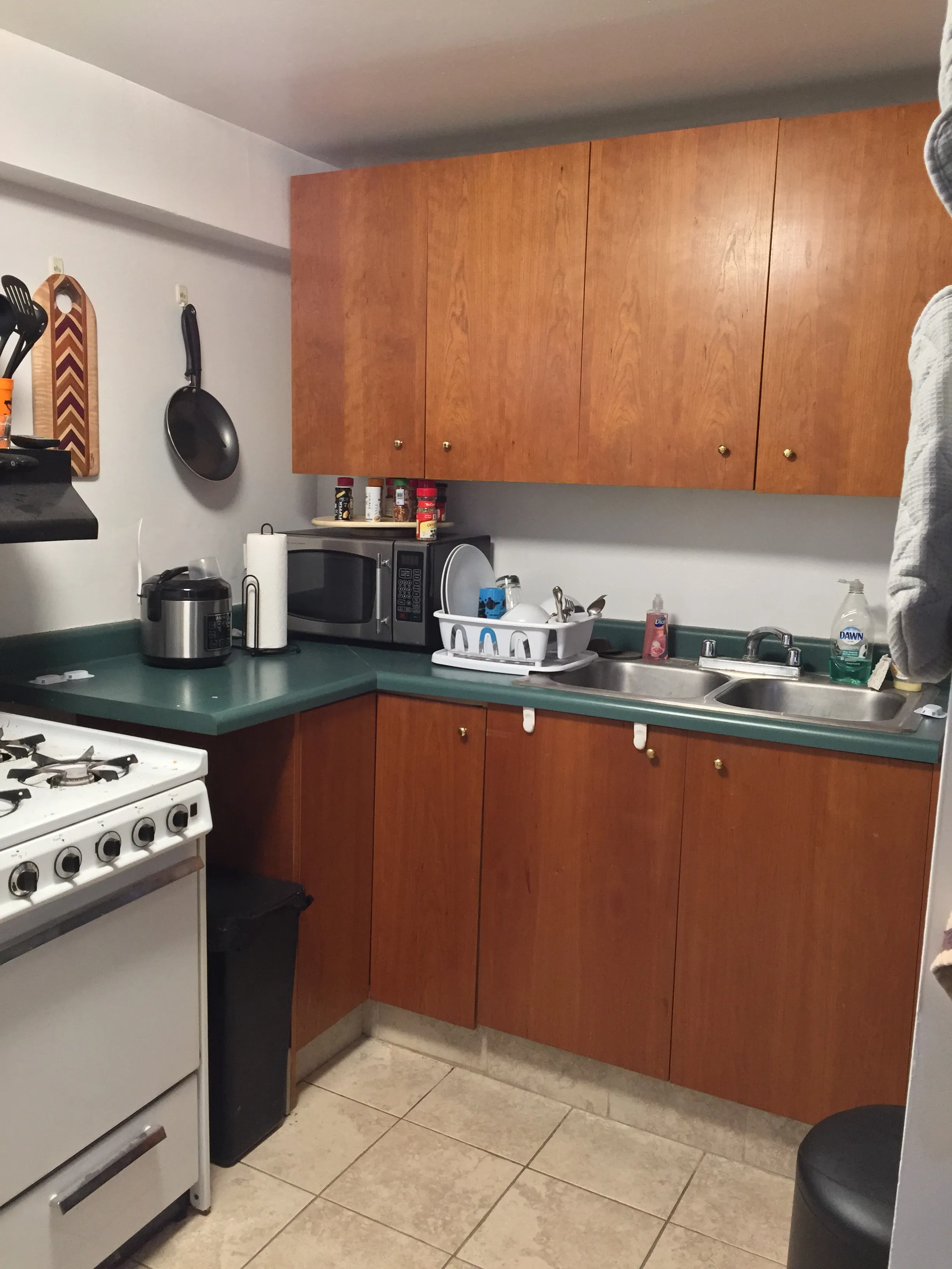 1308 N GREENVIEW AVE 60642-1308 N. Greenview-unit#GARDN-Chicago-IL