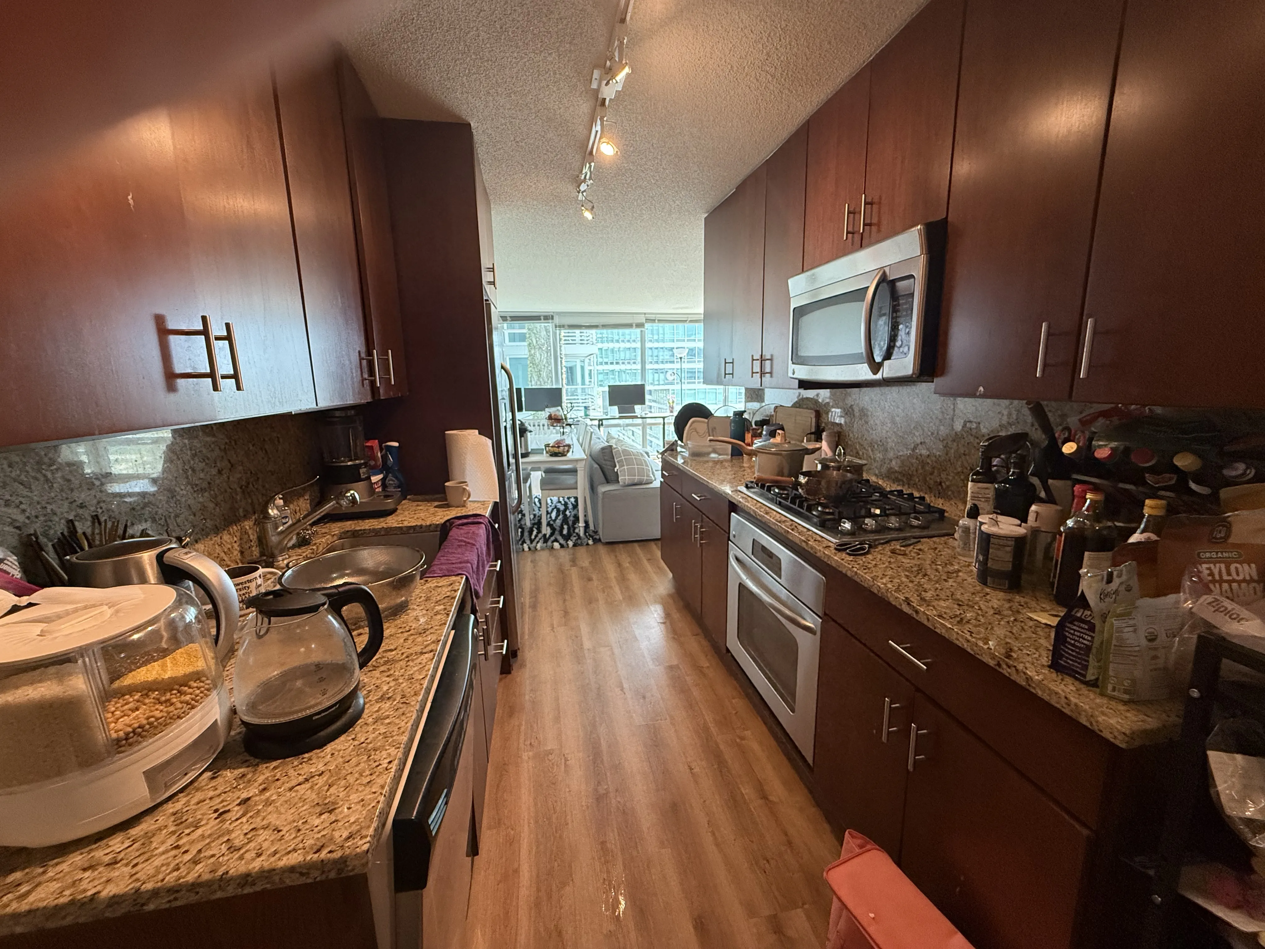9725 Woods Dr   60077 60077-unit#1309-Skokie-IL