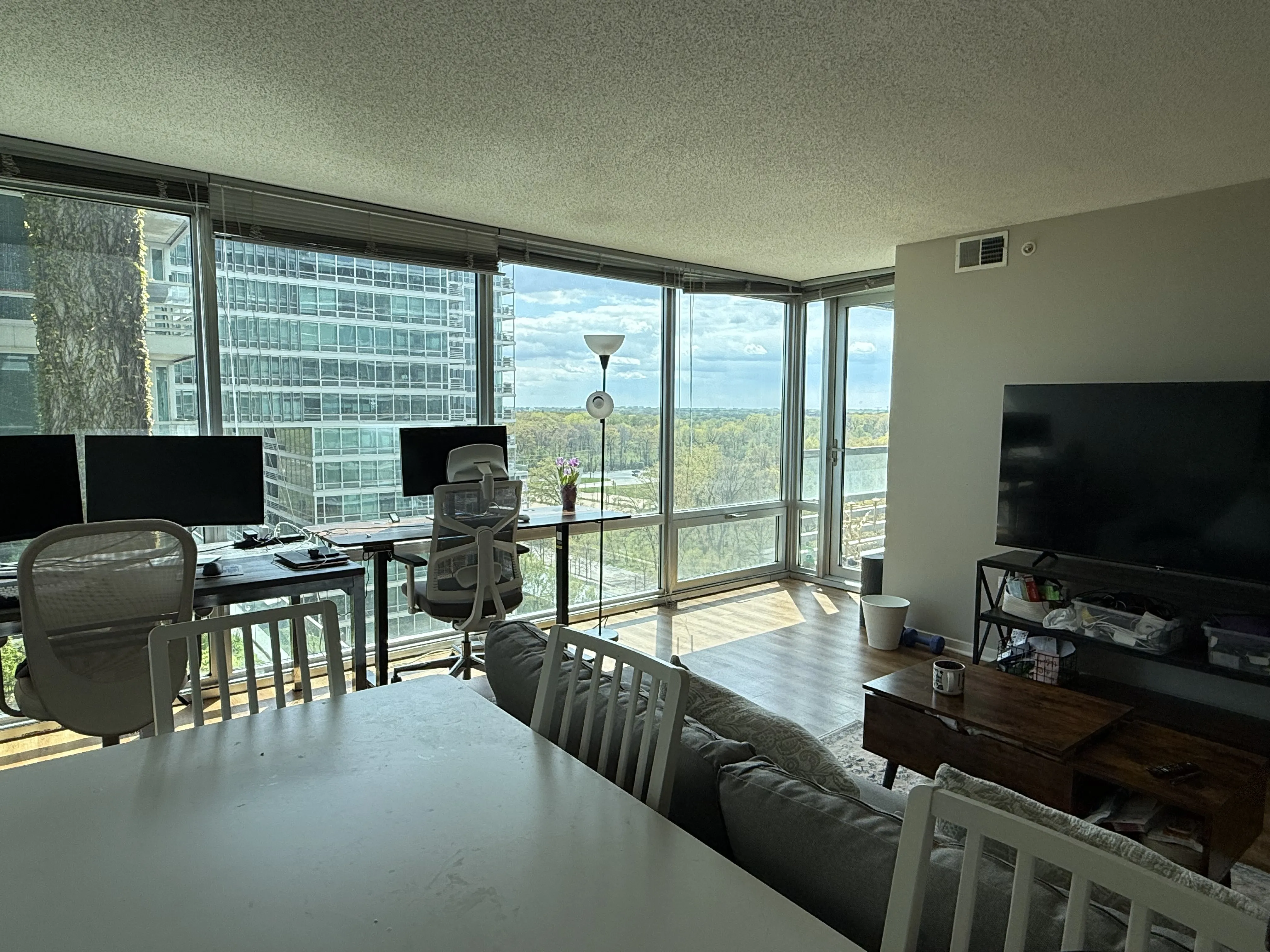 9725 Woods Dr   60077 60077-unit#1309-Skokie-IL