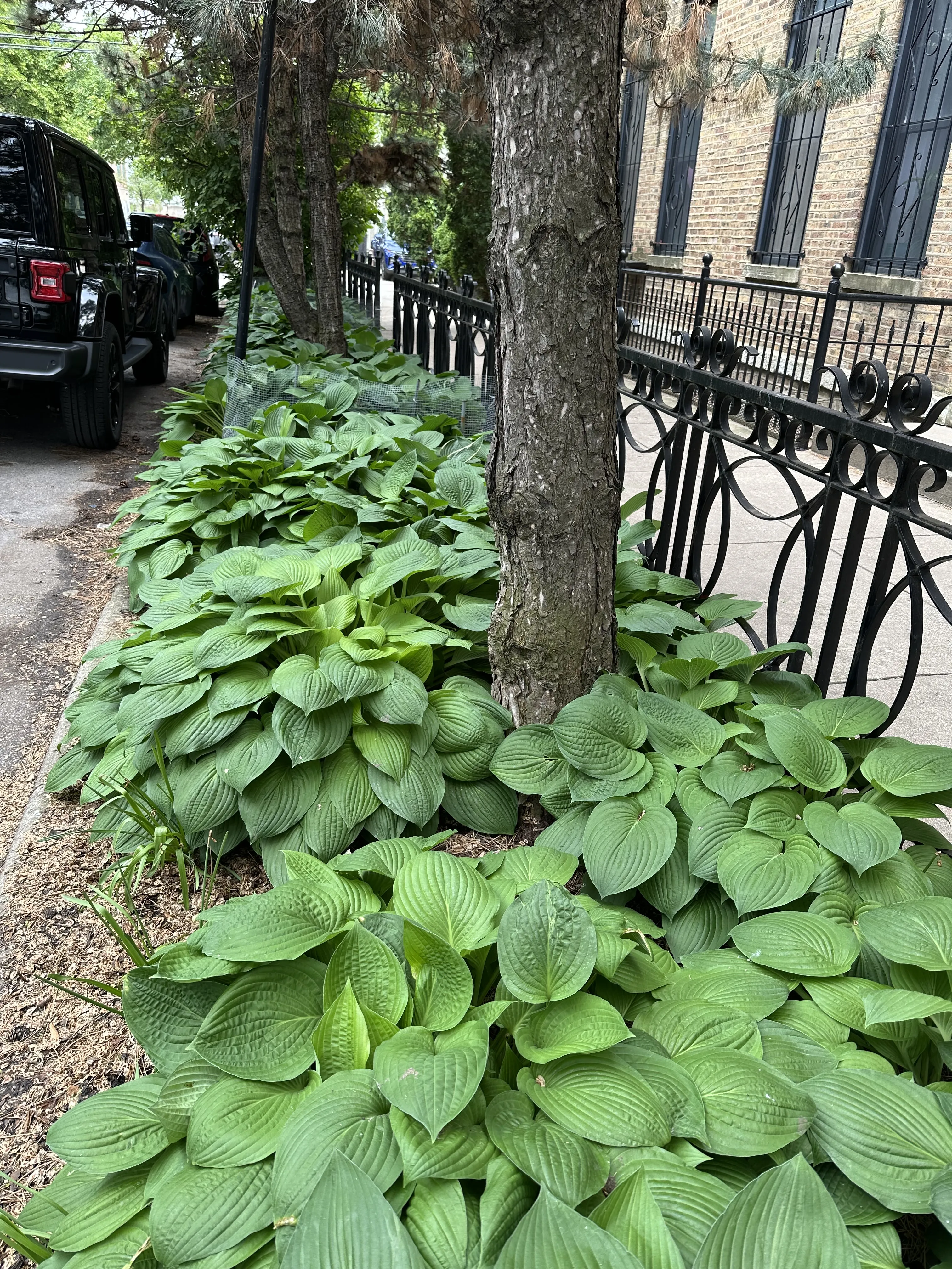 1459 N BOSWORTH AVE 60642-unit#2-F-Chicago-IL