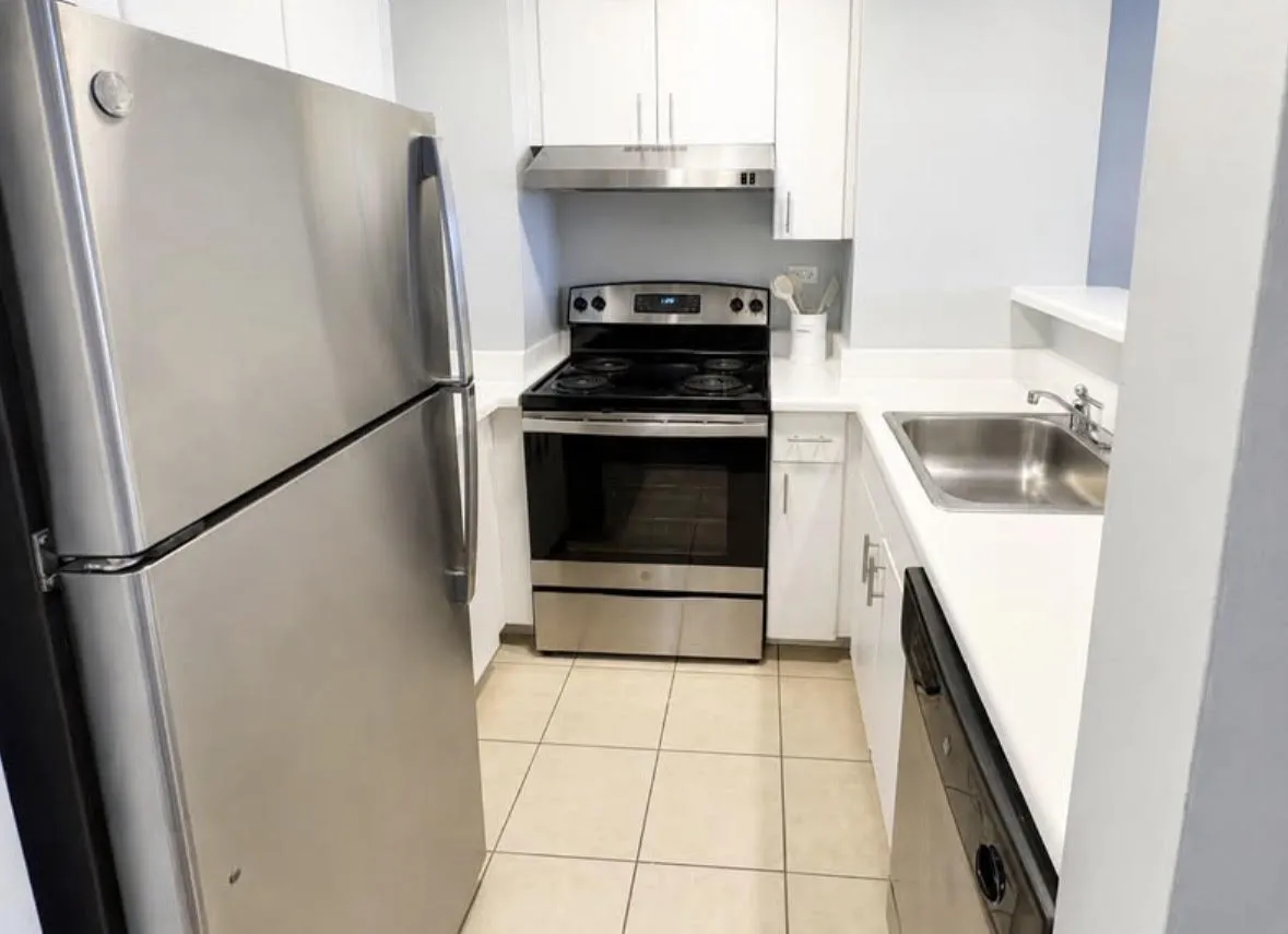 445 E Ohio St 60611 60611-unit#3005-Chicago-IL