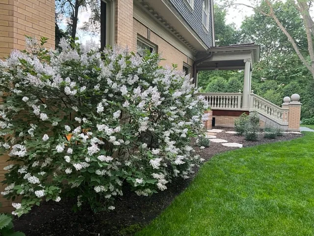 1228 Forest Ave   60202 60202-unit#3-Evanston-IL