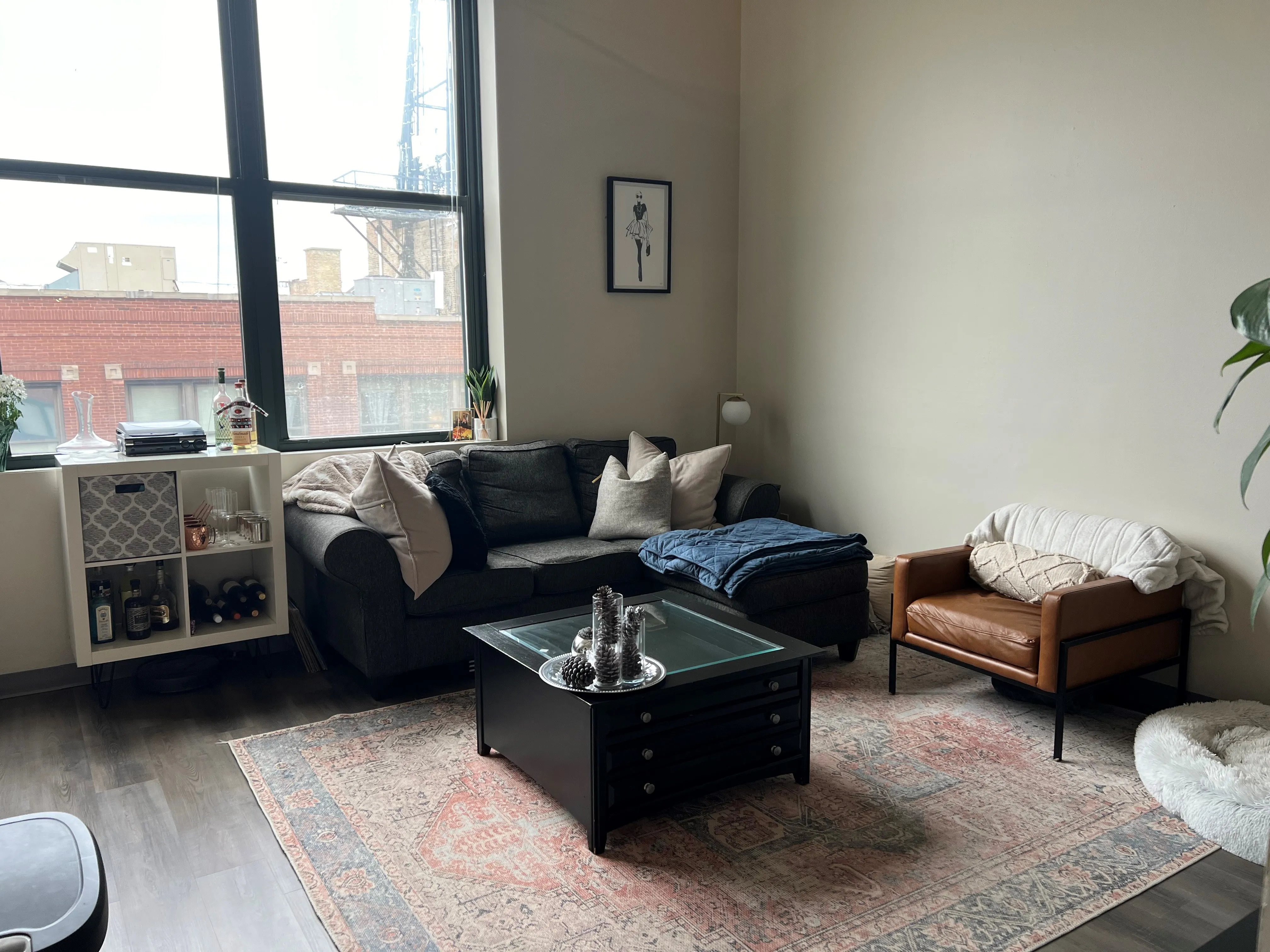 999 W Wolfram St 60657 60657-Sheffield Lofts-unit#508-Chicago-IL