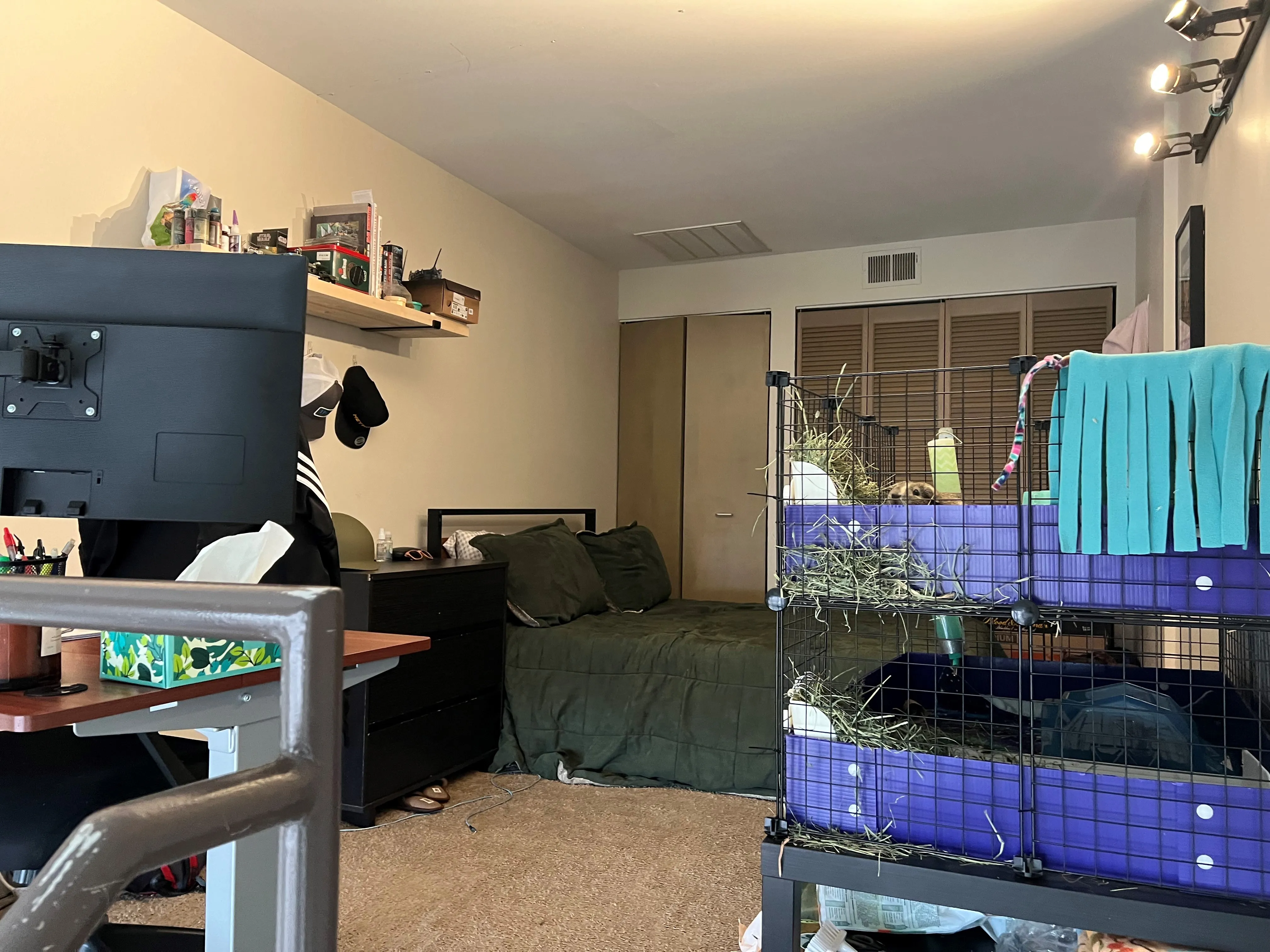 999 W Wolfram St 60657 60657-Sheffield Lofts-unit#508-Chicago-IL