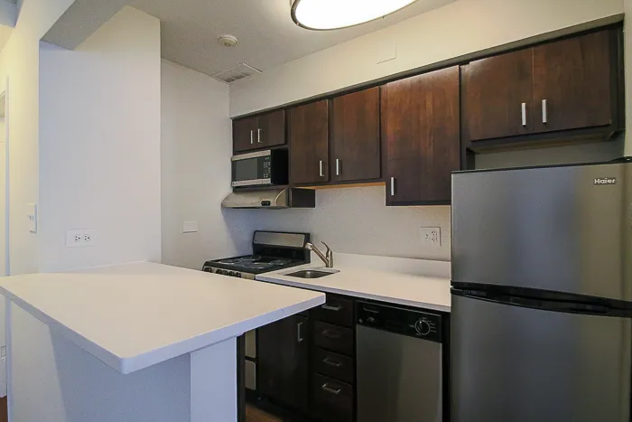200 E Chestnut St 60611 60611-unit#806-Chicago-IL