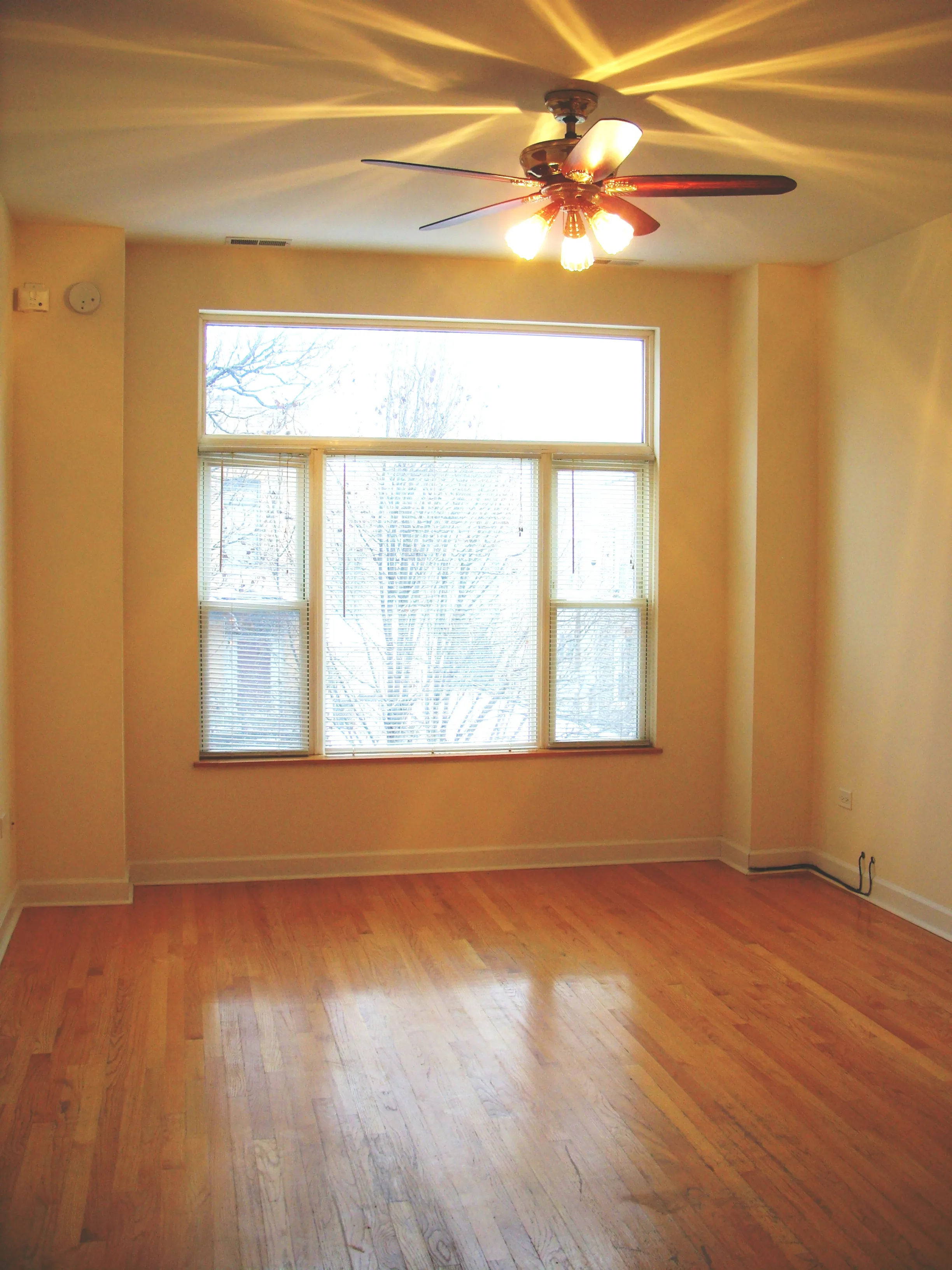 2611 W Rice St   60622 60622-unit#2F-Chicago-IL