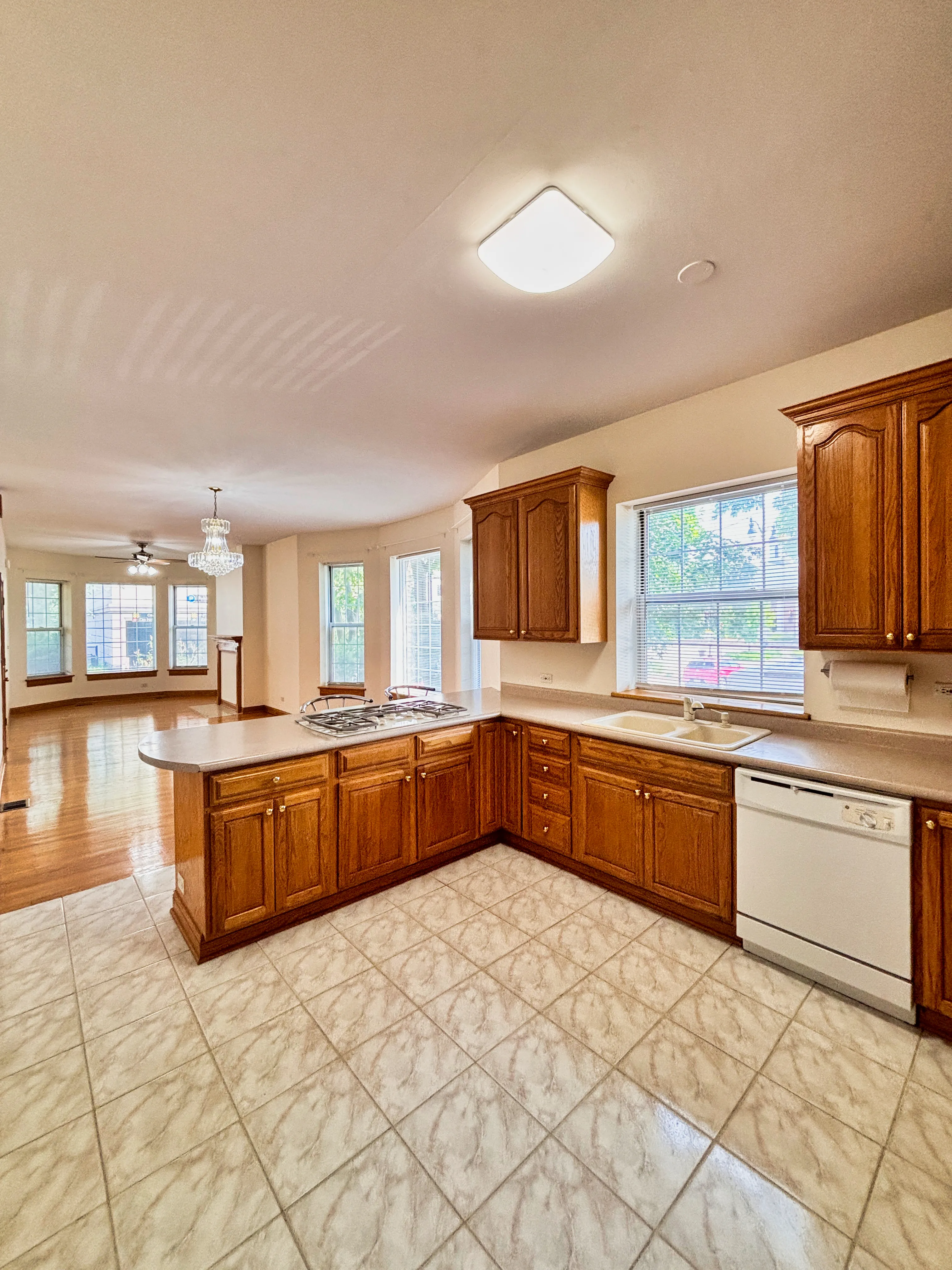 8016 Floral Ave 60077 60077-unit#1F-Skokie-IL