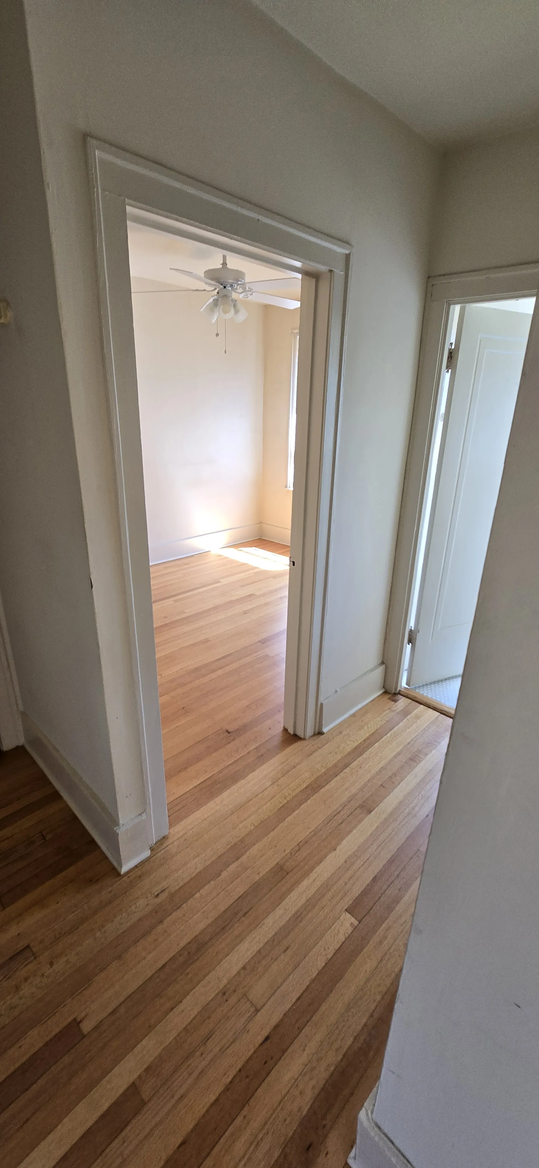1100 W Roscoe St   60657 60657-unit#21-Chicago-IL