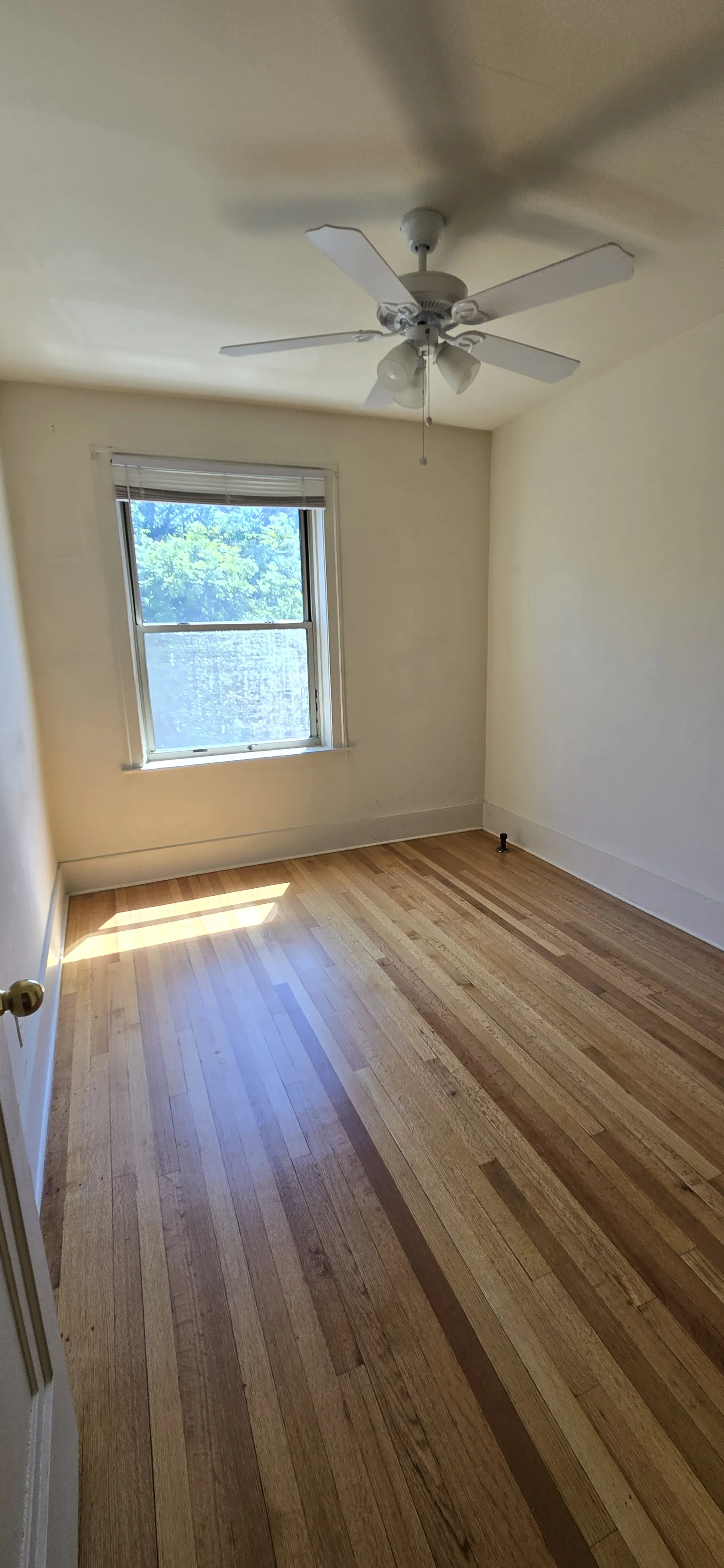 1100 W Roscoe St   60657 60657-unit#21-Chicago-IL
