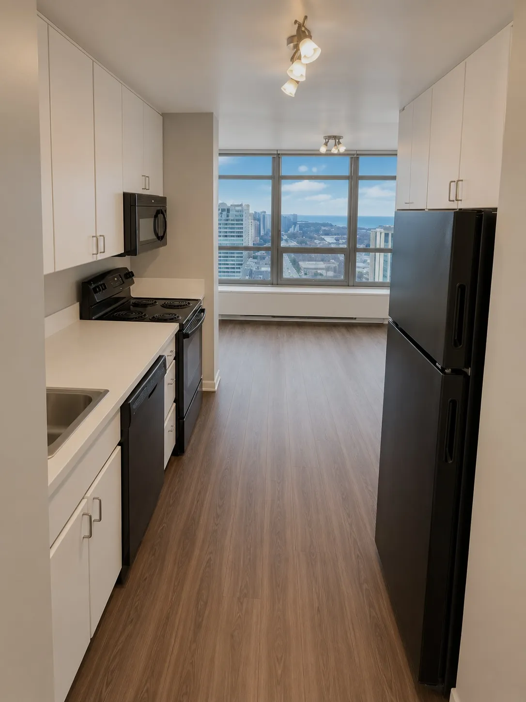 3450 N Lake Shore Dr   60657 60657-unit#3406-Chicago-IL