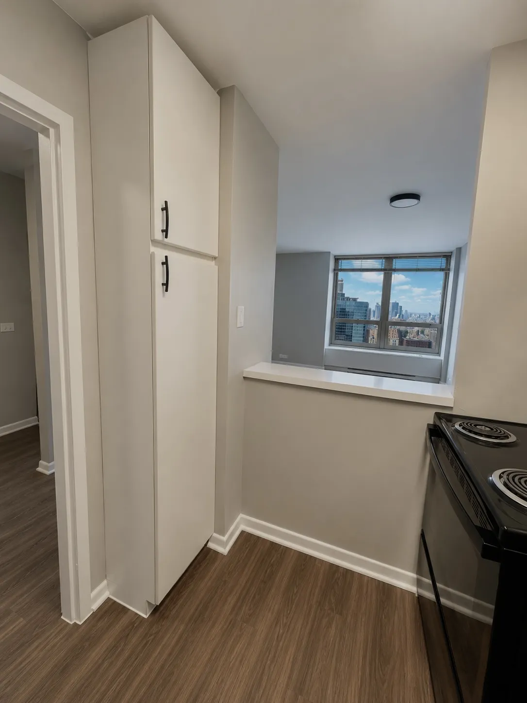 3450 N Lake Shore Dr 60657 60657-unit#1504-Chicago-IL