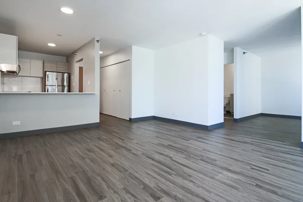 420 E Ohio St 60611 60611-unit#33e-Chicago-IL