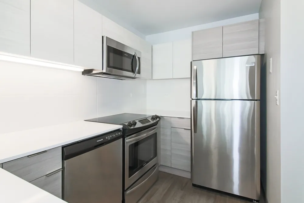 420 E Ohio St 60611 60611-unit#33e-Chicago-IL