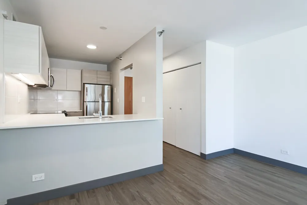 420 E Ohio St 60611 60611-unit#33e-Chicago-IL