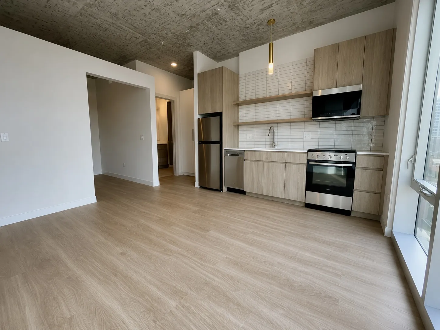 808 N Wells St   60610 60610-unit#1205-Chicago-IL