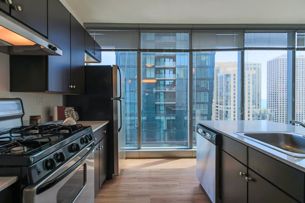 345 E Wacker Dr 60601 60601-unit#1106-Chicago-IL
