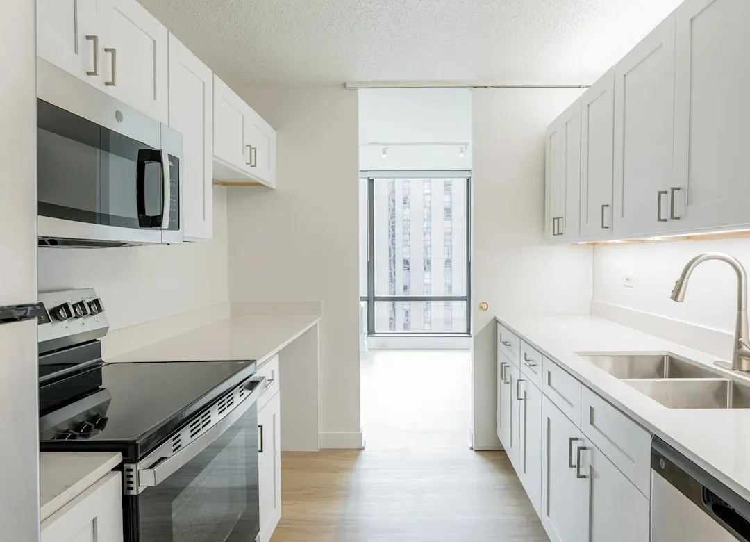 233 E Wacker Dr 60601 60601-unit#1706-Chicago-IL