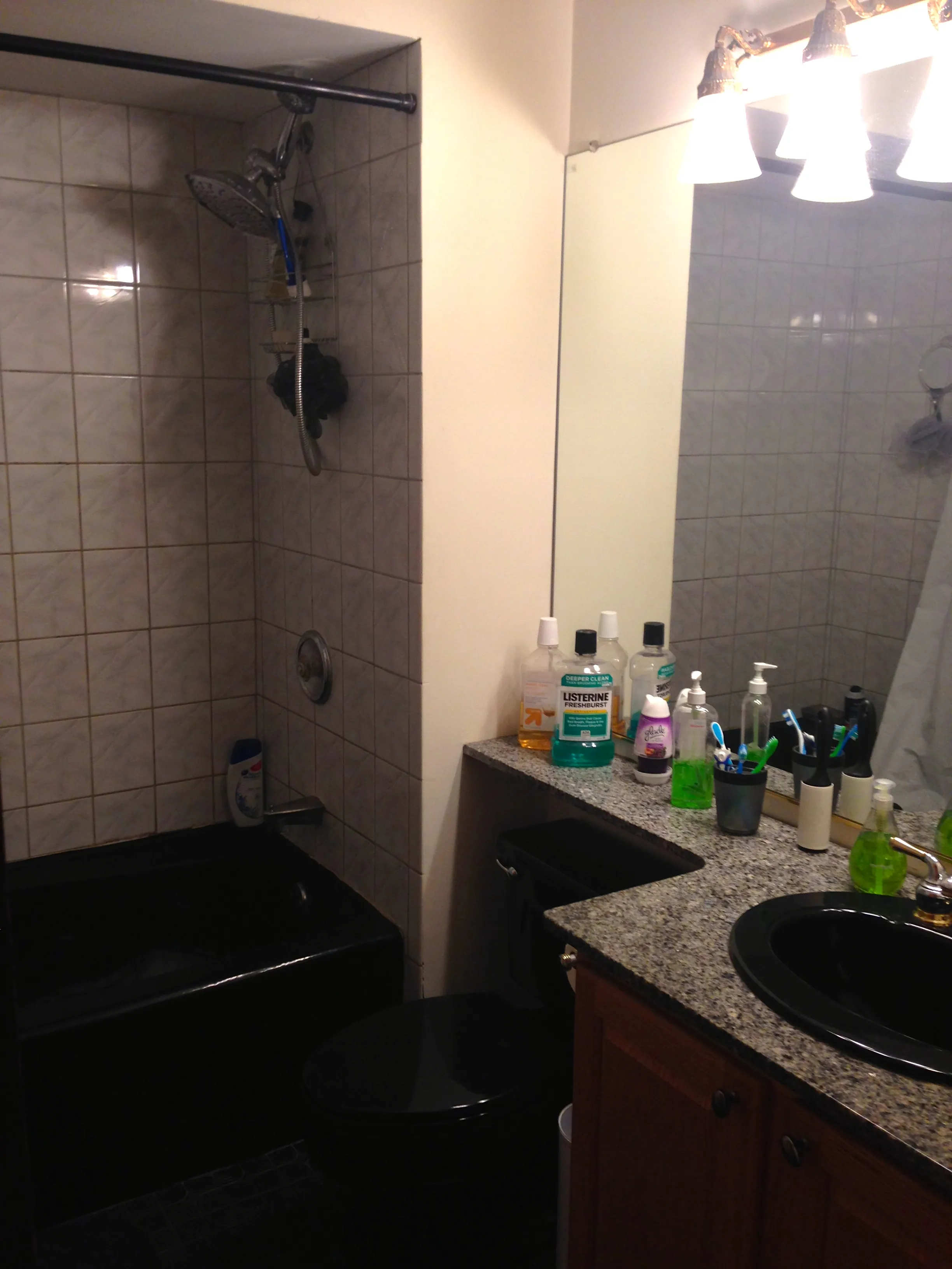 1031 W Dakin St 60613 60613-unit#1-Chicago-IL