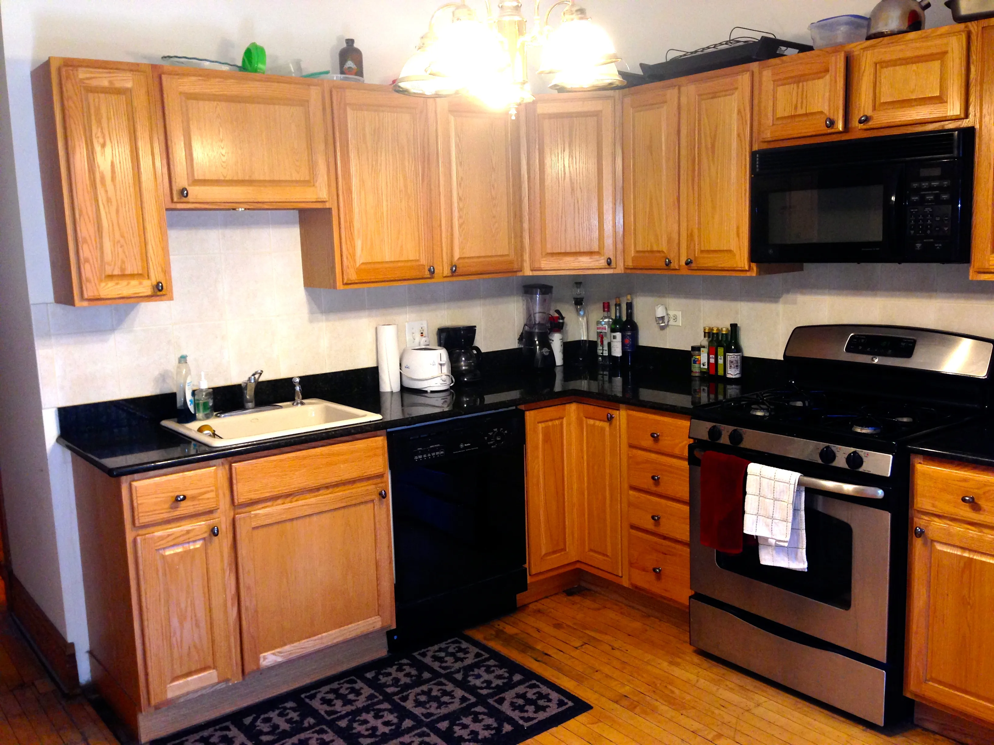 1031 W Dakin St 60613 60613-unit#1-Chicago-IL