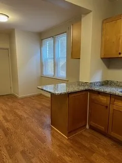 2940 S Union Ave 60616 60616-unit#1st Front-Chicago-IL