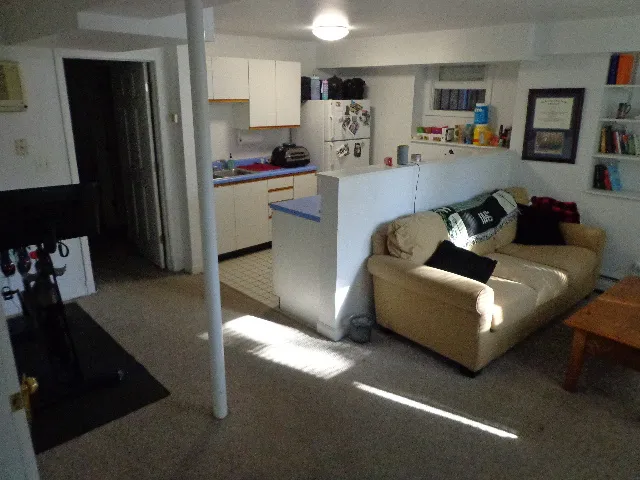 3217 N Clifton Ave 60657 60657-unit#BSMT-Chicago-IL