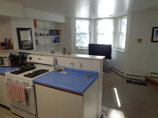 3217 N Clifton Ave 60657 60657-unit#BSMT-Chicago-IL
