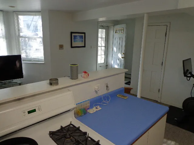 3217 N Clifton Ave 60657 60657-unit#BSMT-Chicago-IL