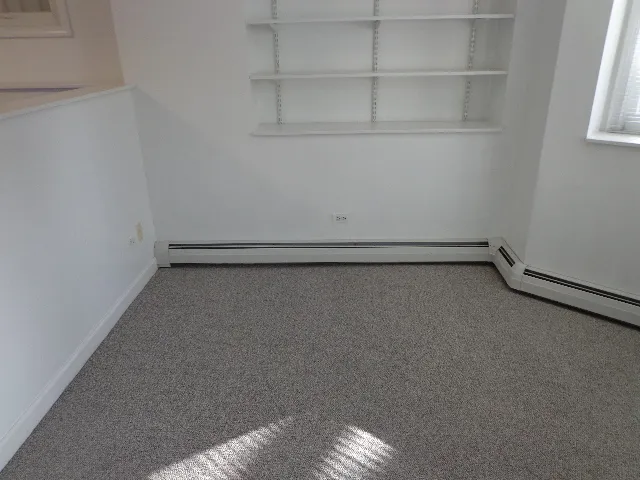 3217 N Clifton Ave 60657 60657-unit#BSMT-Chicago-IL