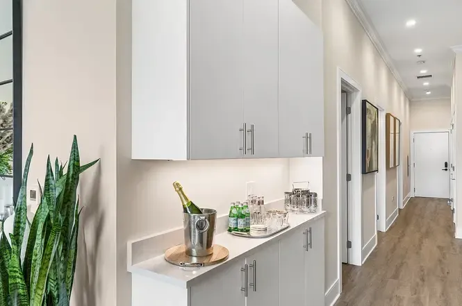 133 S Ashland Ave 60607 60607-The Maeve-unit#318-Chicago-IL
