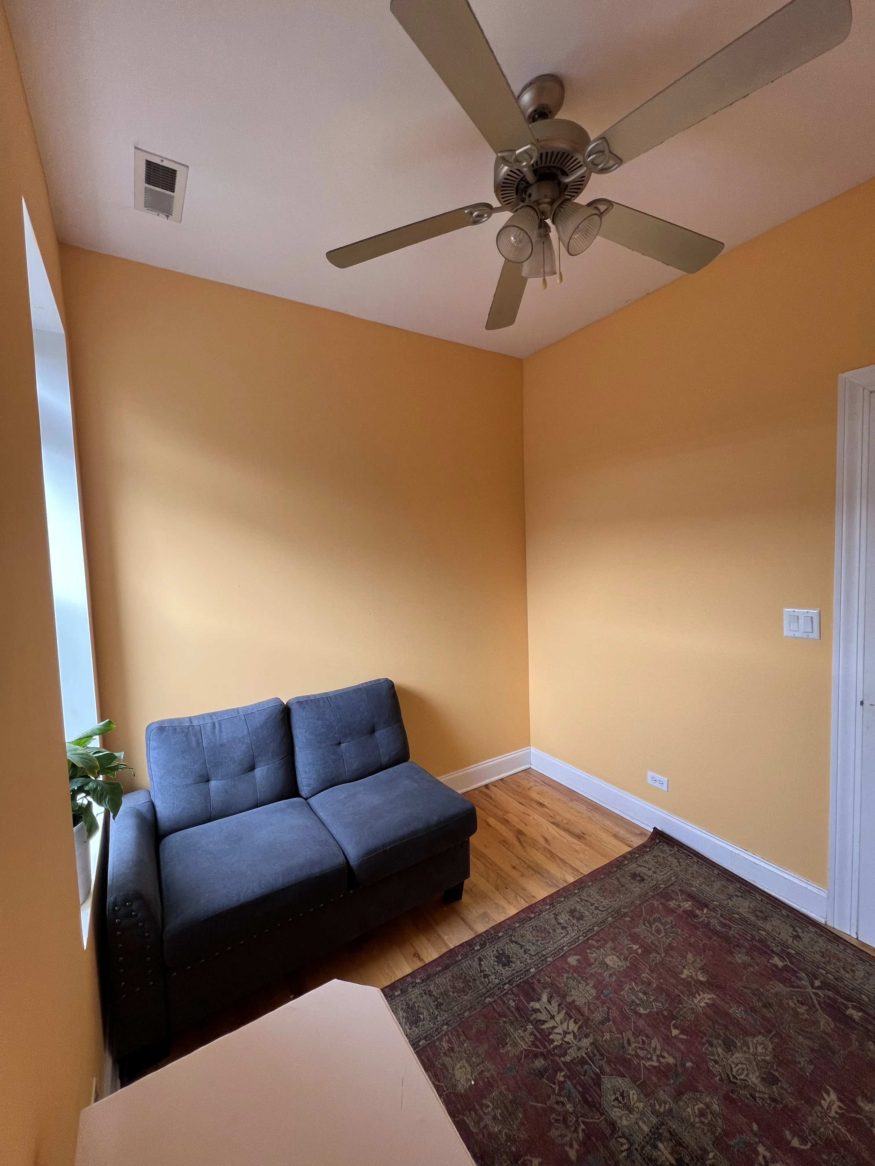 4348 N Sacramento Ave 60618 60618-unit#3-Chicago-IL