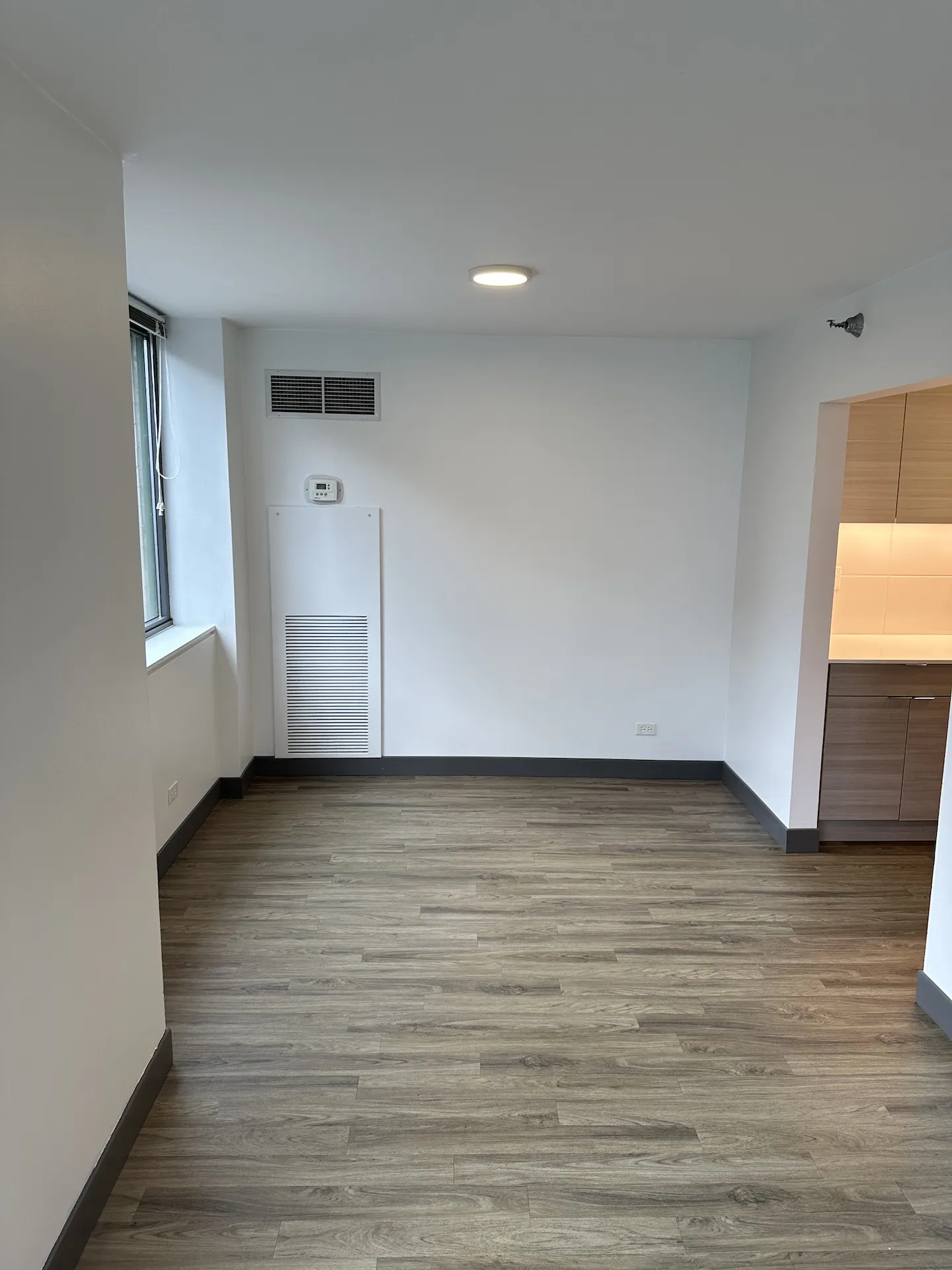 420 E Ohio St 60611 60611-unit#29e-Chicago-IL