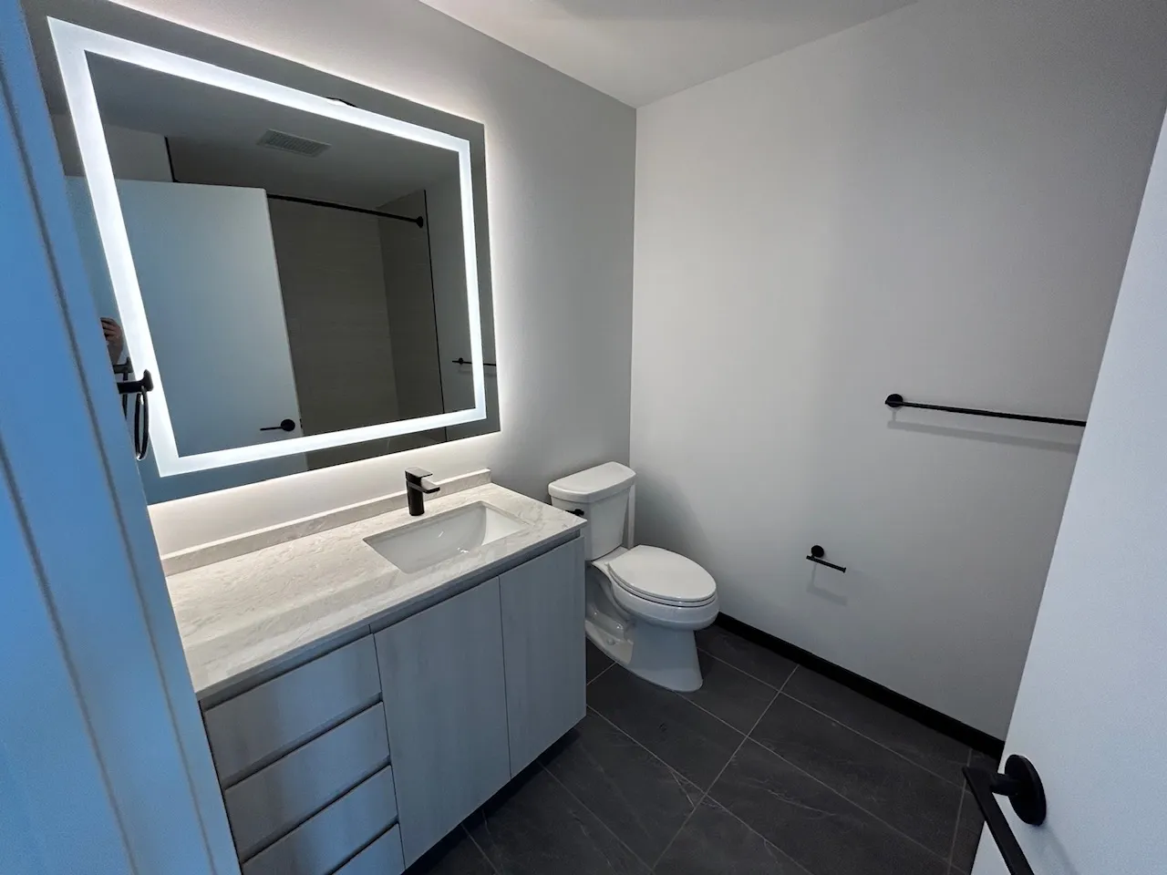 1400 W Randolph St 60607 60607-unit#1301-Chicago-IL