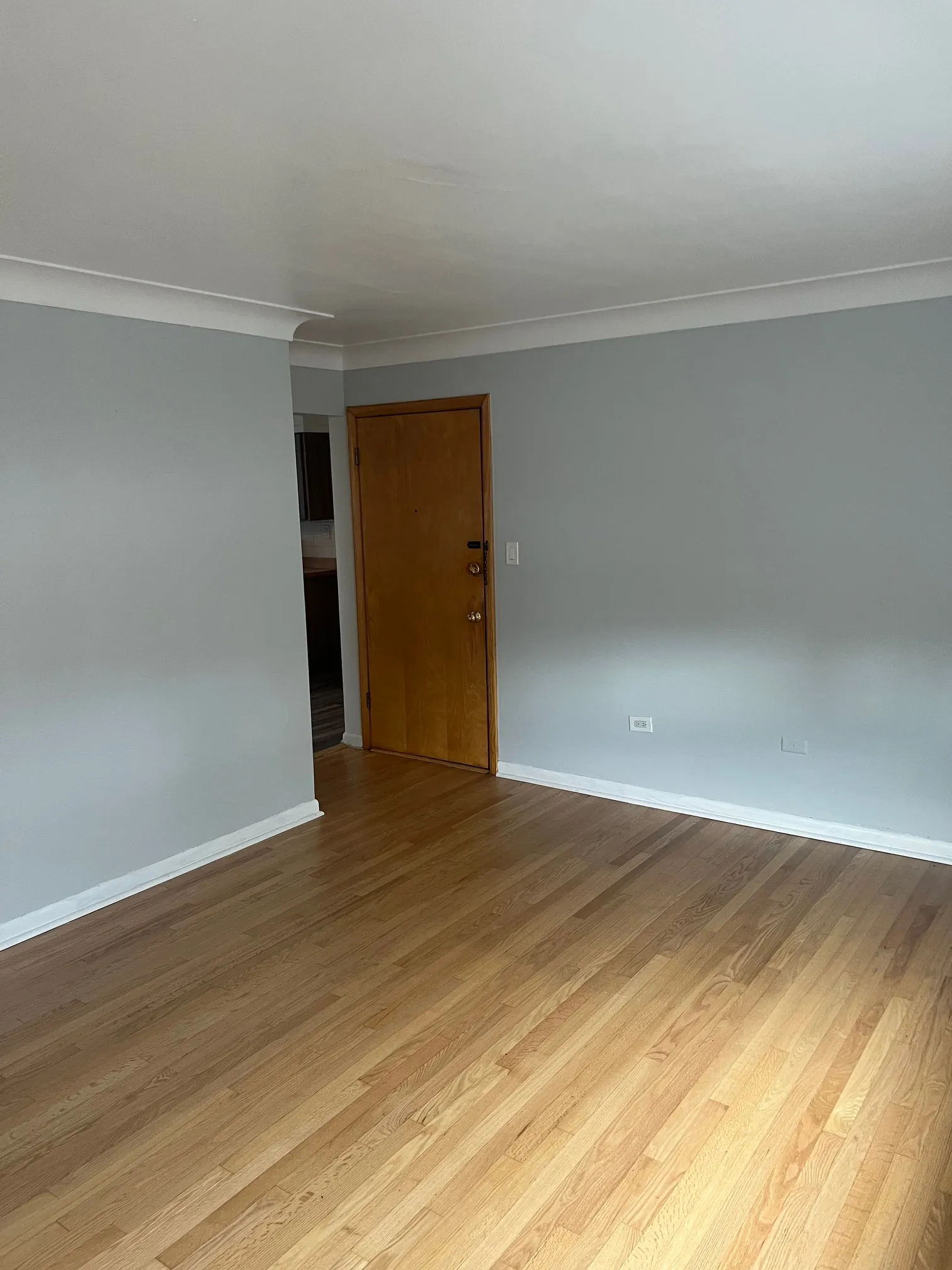 7241 W Lawrence Ave 60706 60706-unit#1B-Harwood Heights-IL