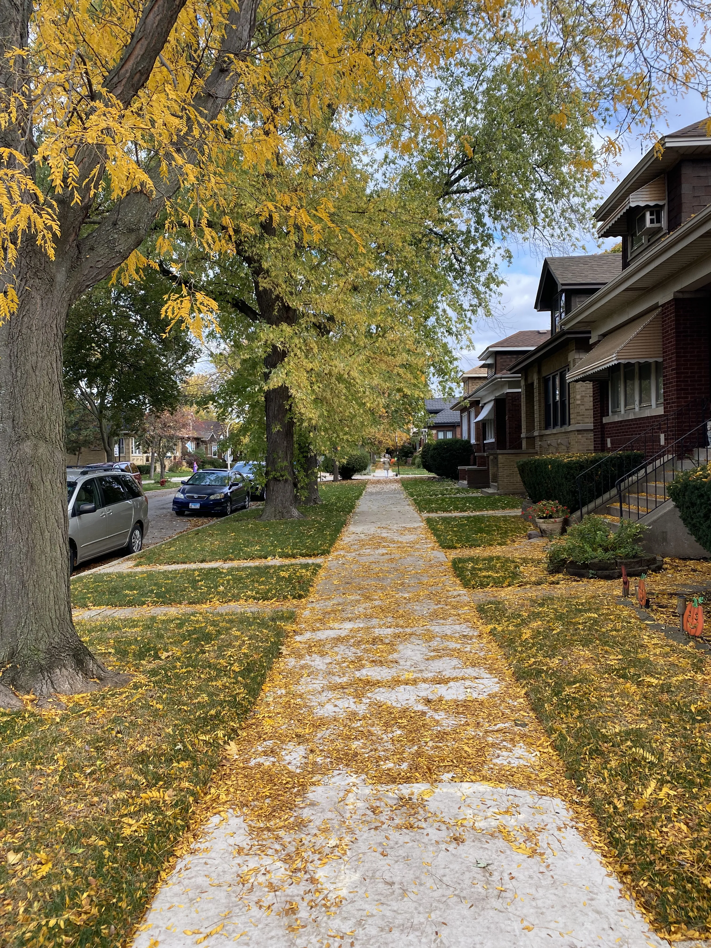 4925 N Tripp Ave   60630 60630-North Mayfair Bungalow-Chicago-IL