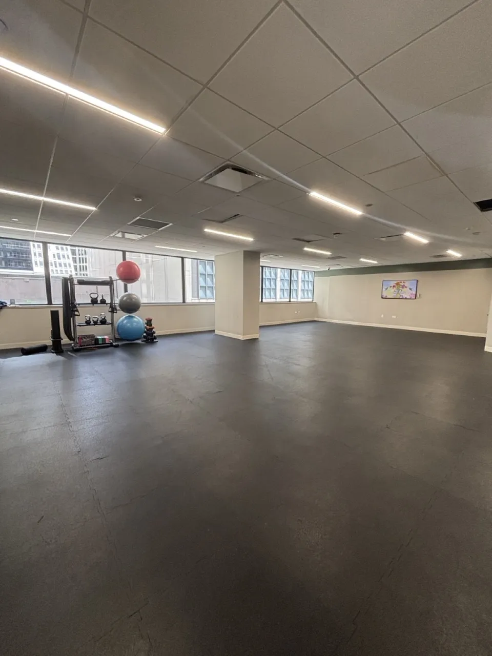 445 E Ohio St   60611 60611-unit#1218-Chicago-IL