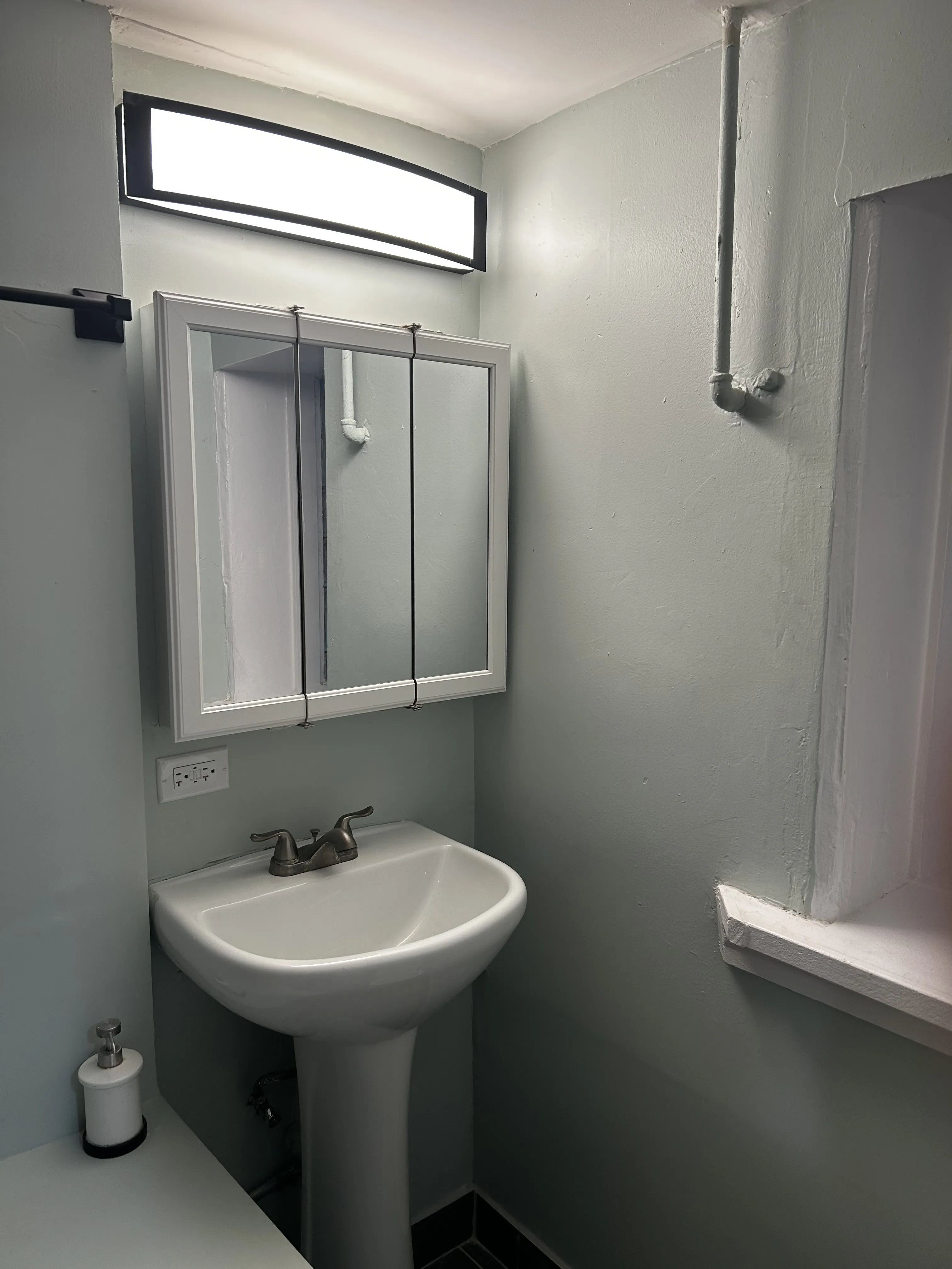 Little village 60623-unit#Garden-Chicago-IL