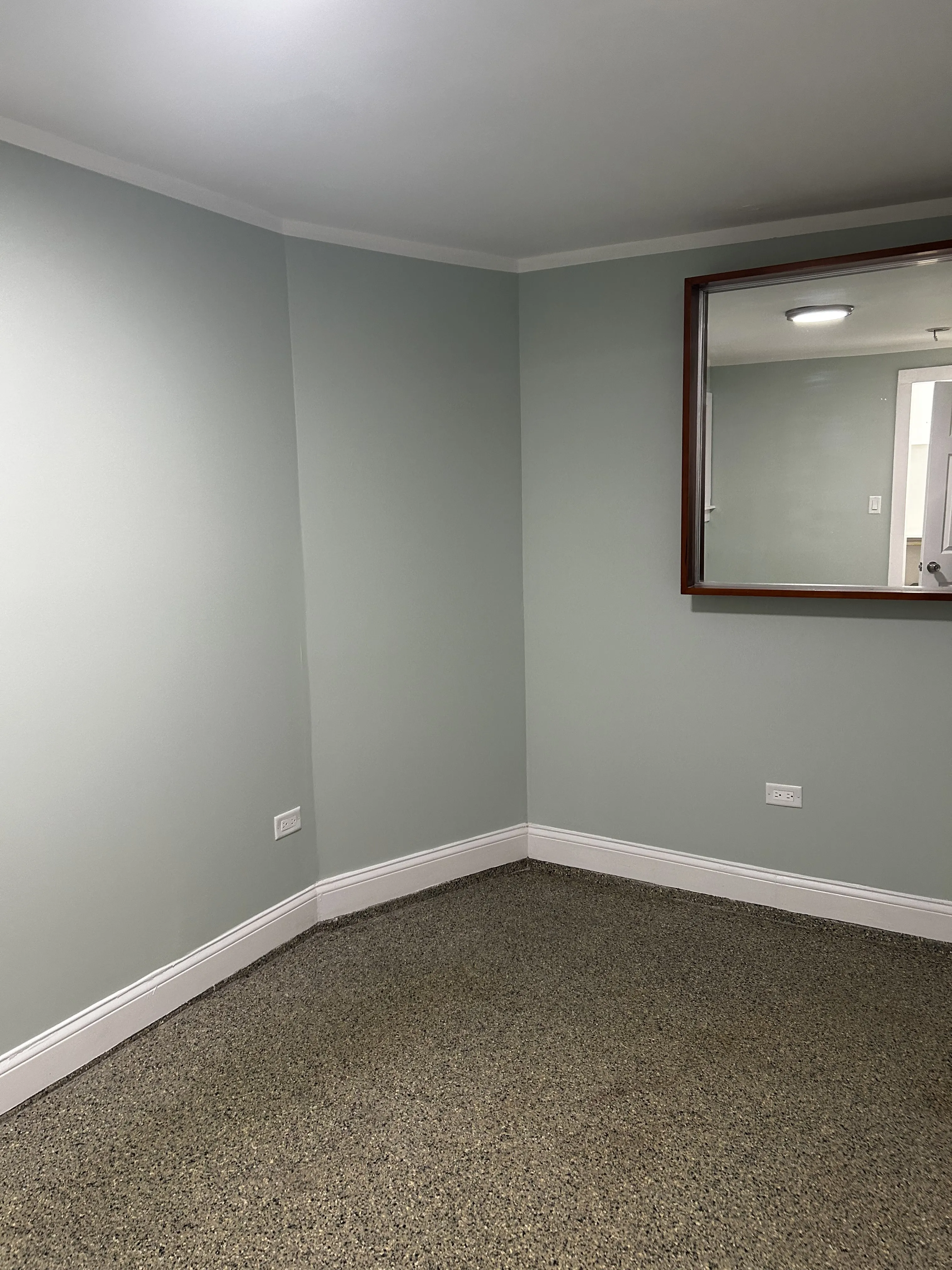 Little village 60623-unit#Garden-Chicago-IL