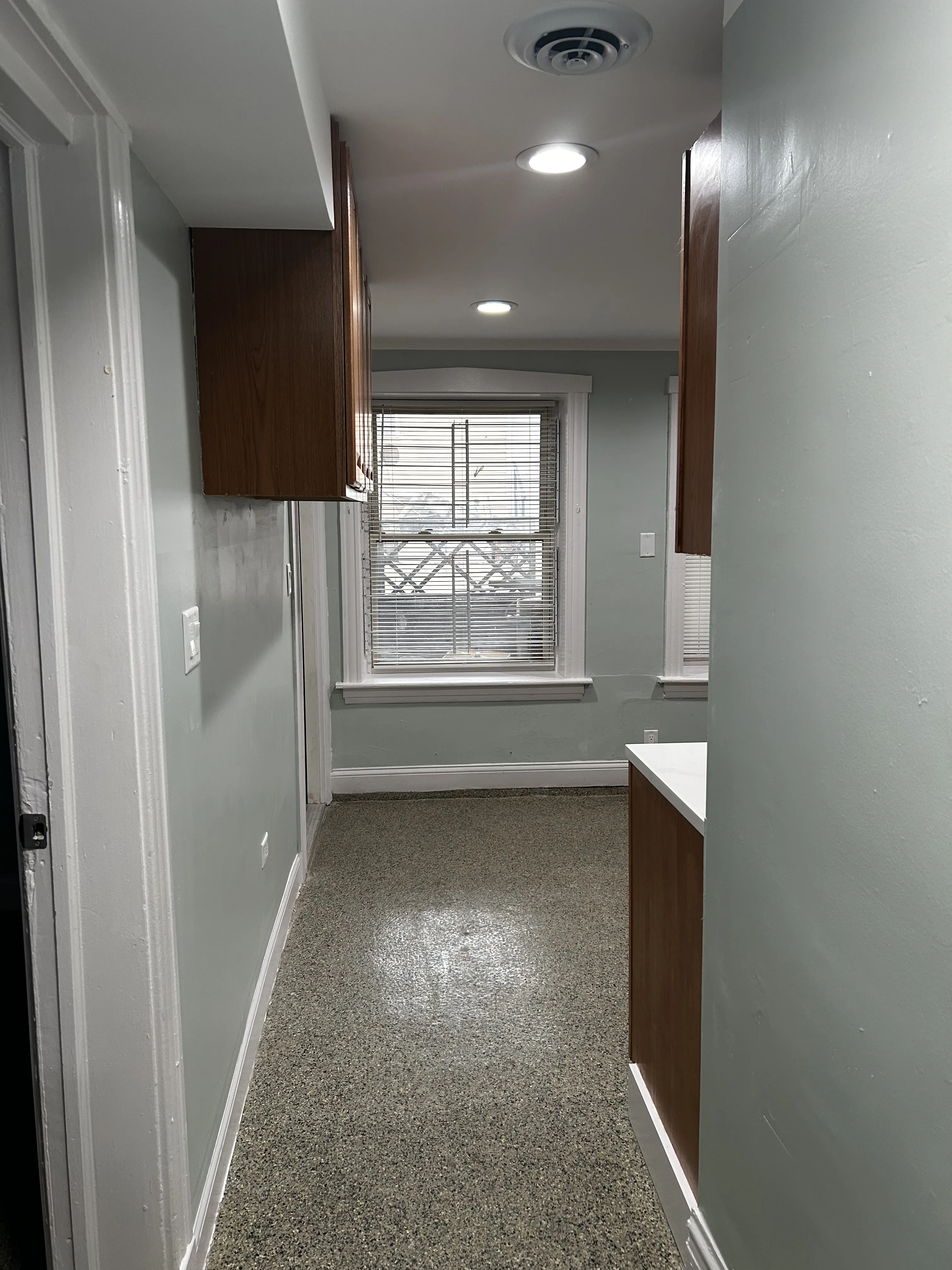 Little village 60623-unit#Garden-Chicago-IL