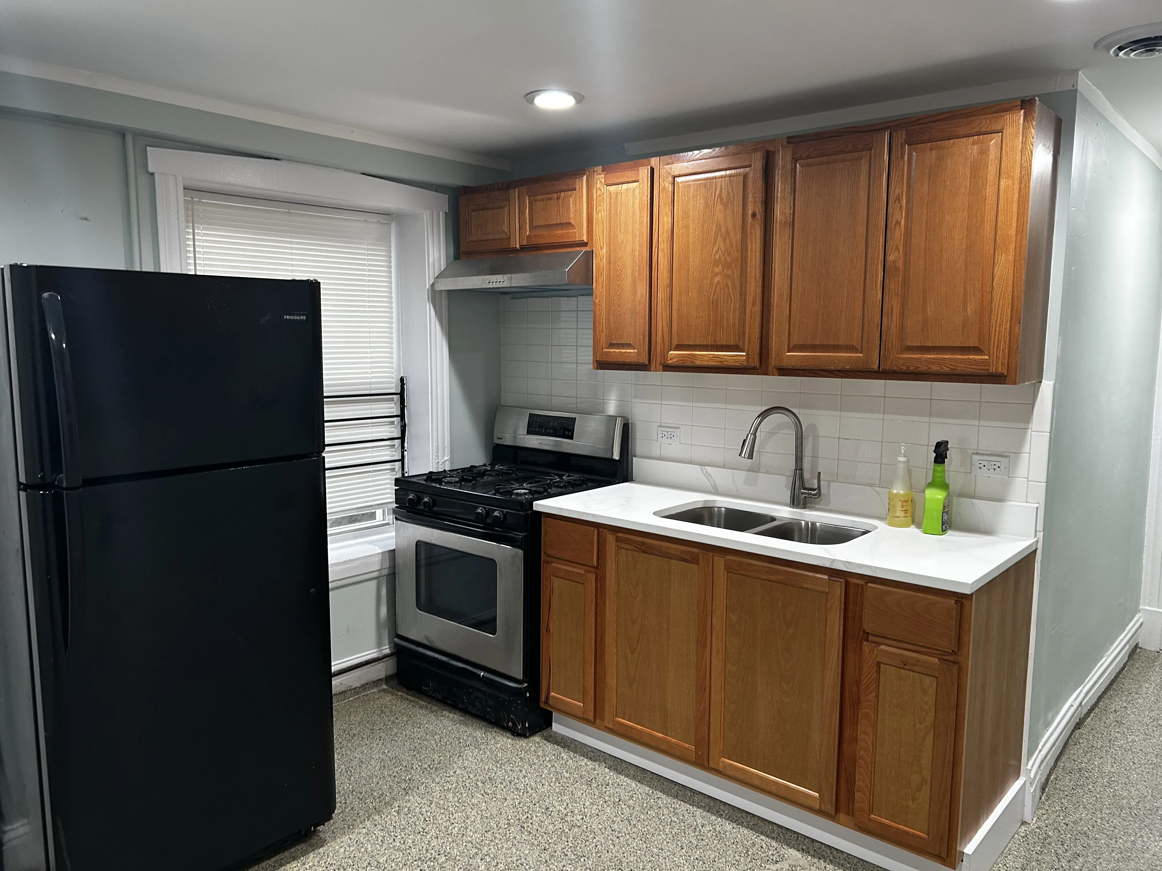 Little village 60623-unit#Garden-Chicago-IL