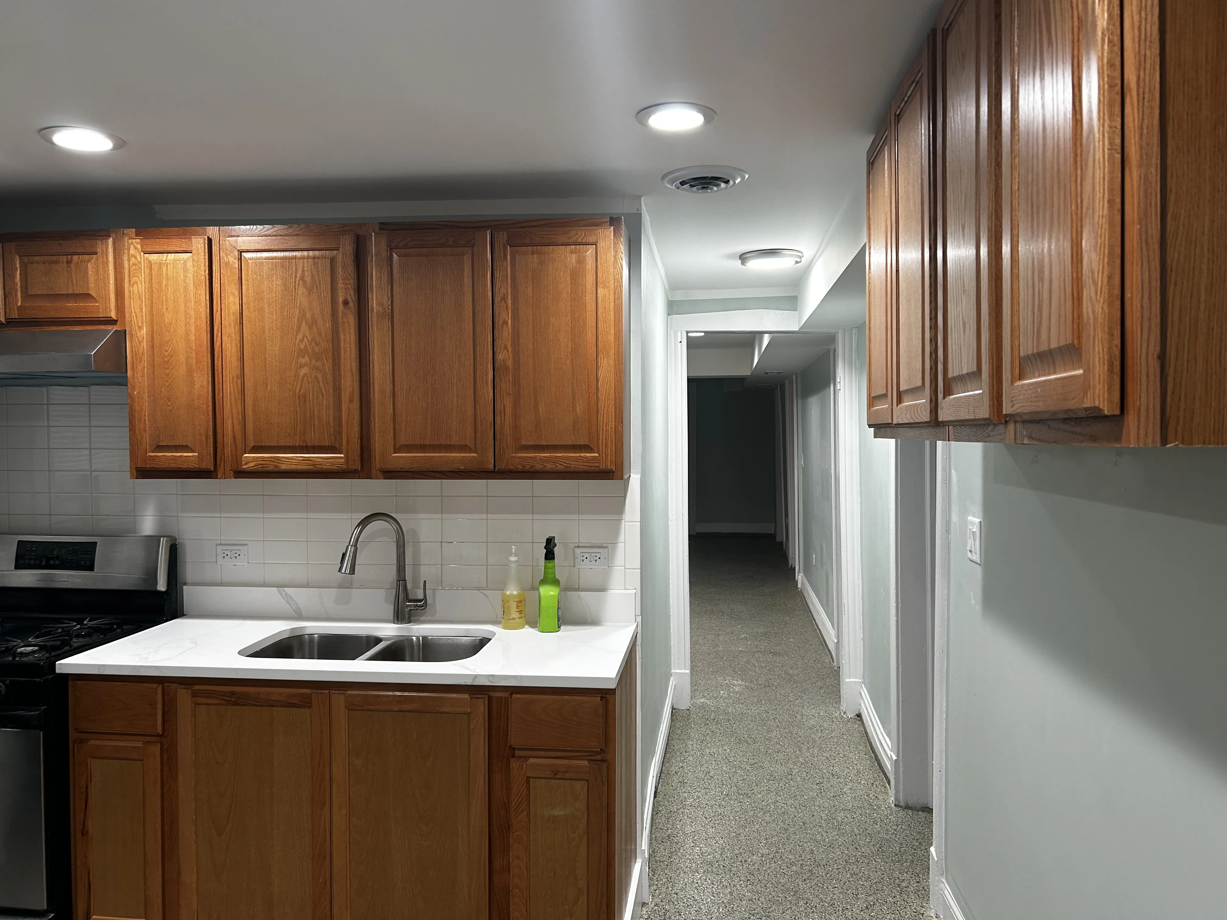 Little village 60623-unit#Garden-Chicago-IL