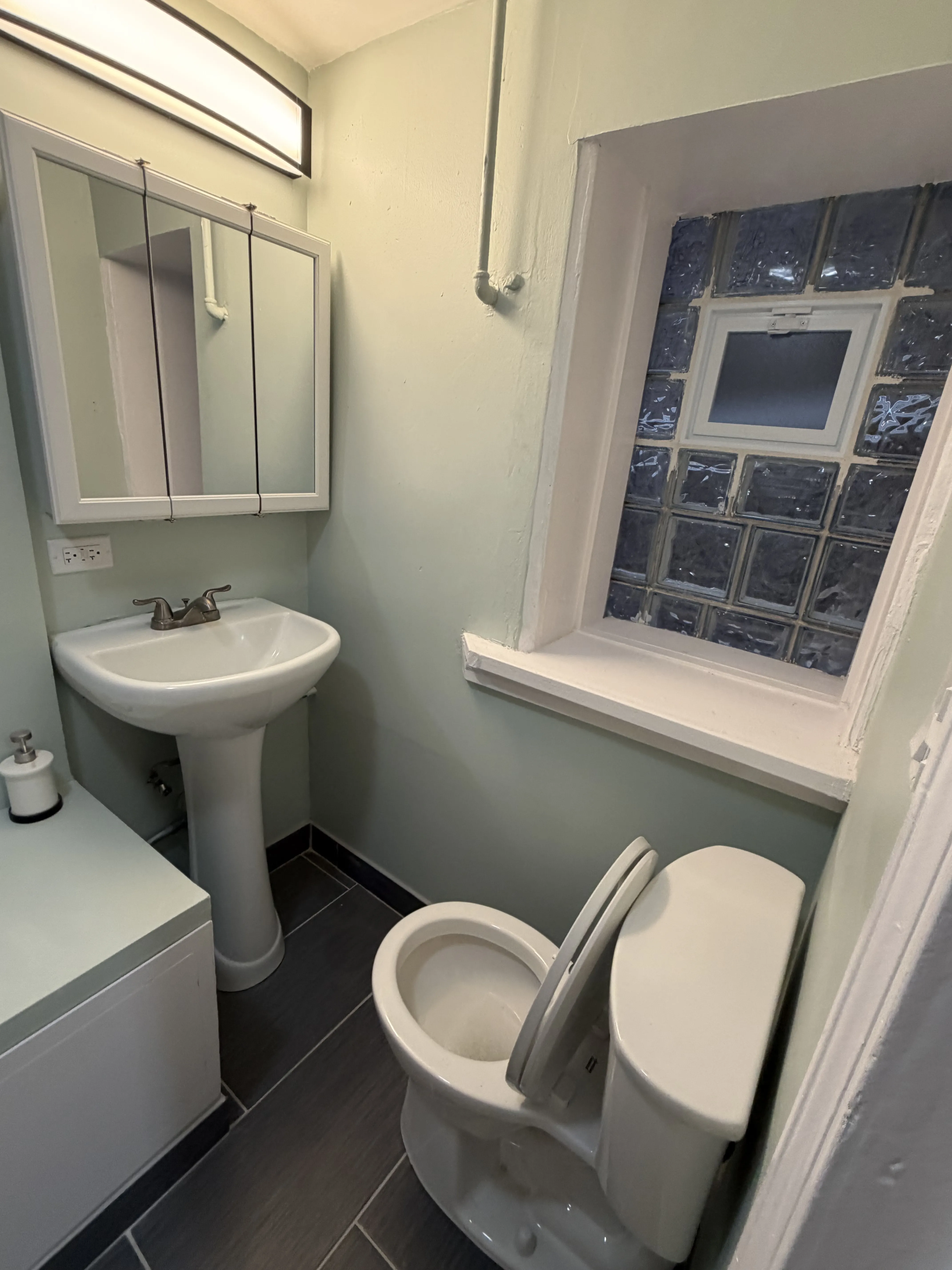 Little village 60623-unit#Garden-Chicago-IL